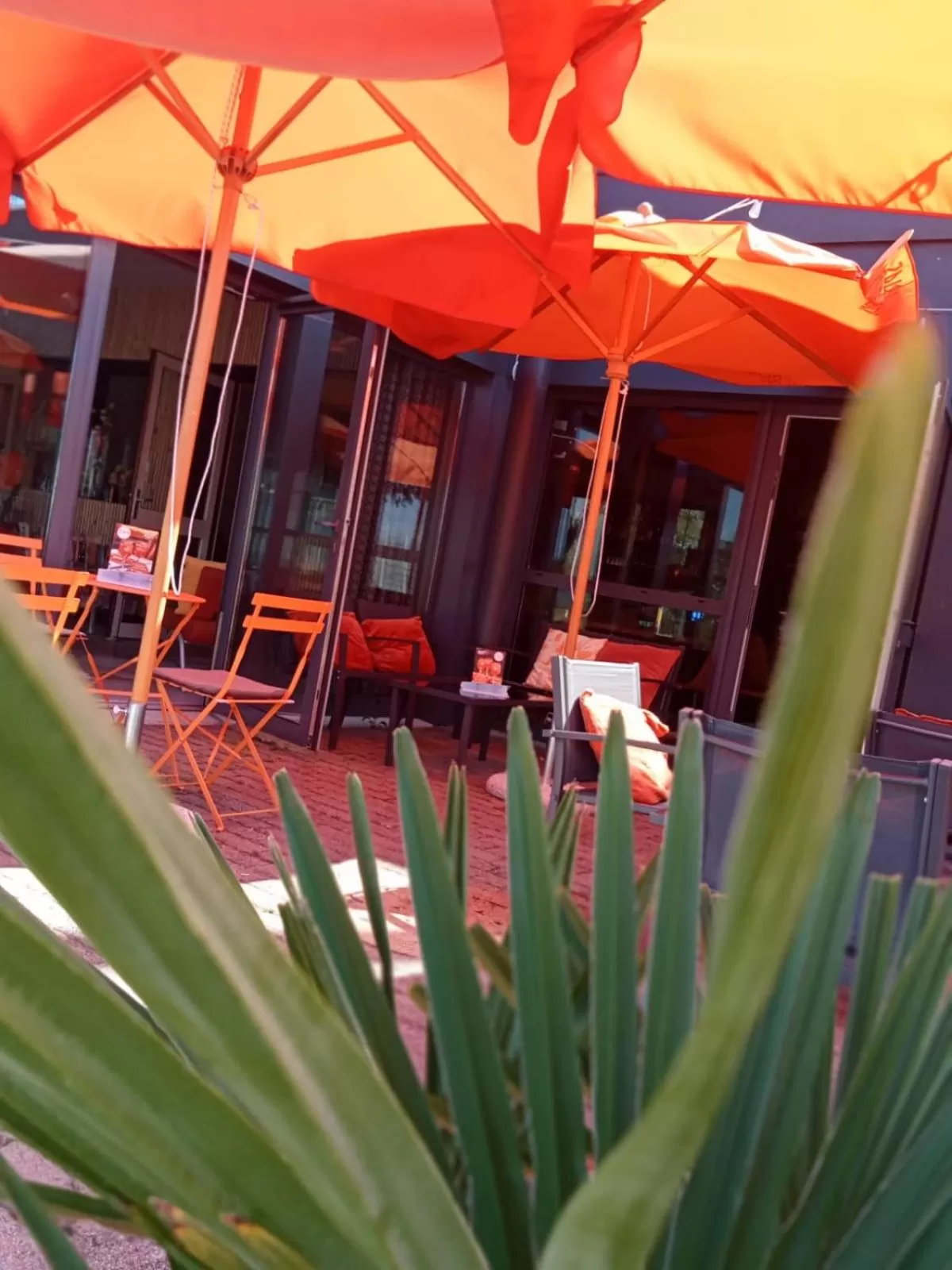 Balcony/Terrace in Beddy-bye Hôtel