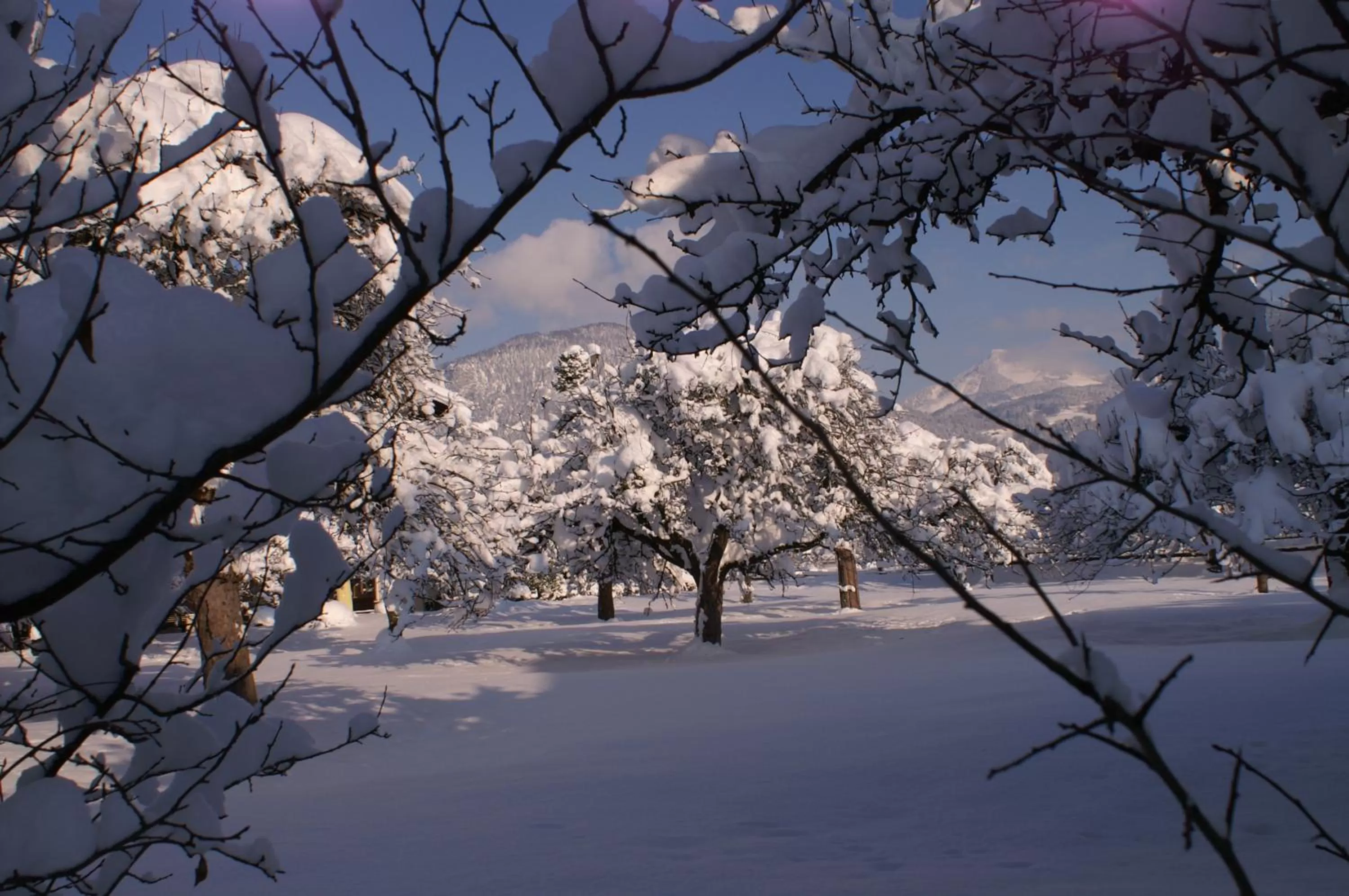 Winter in Alpenhof Landhotel Restaurant