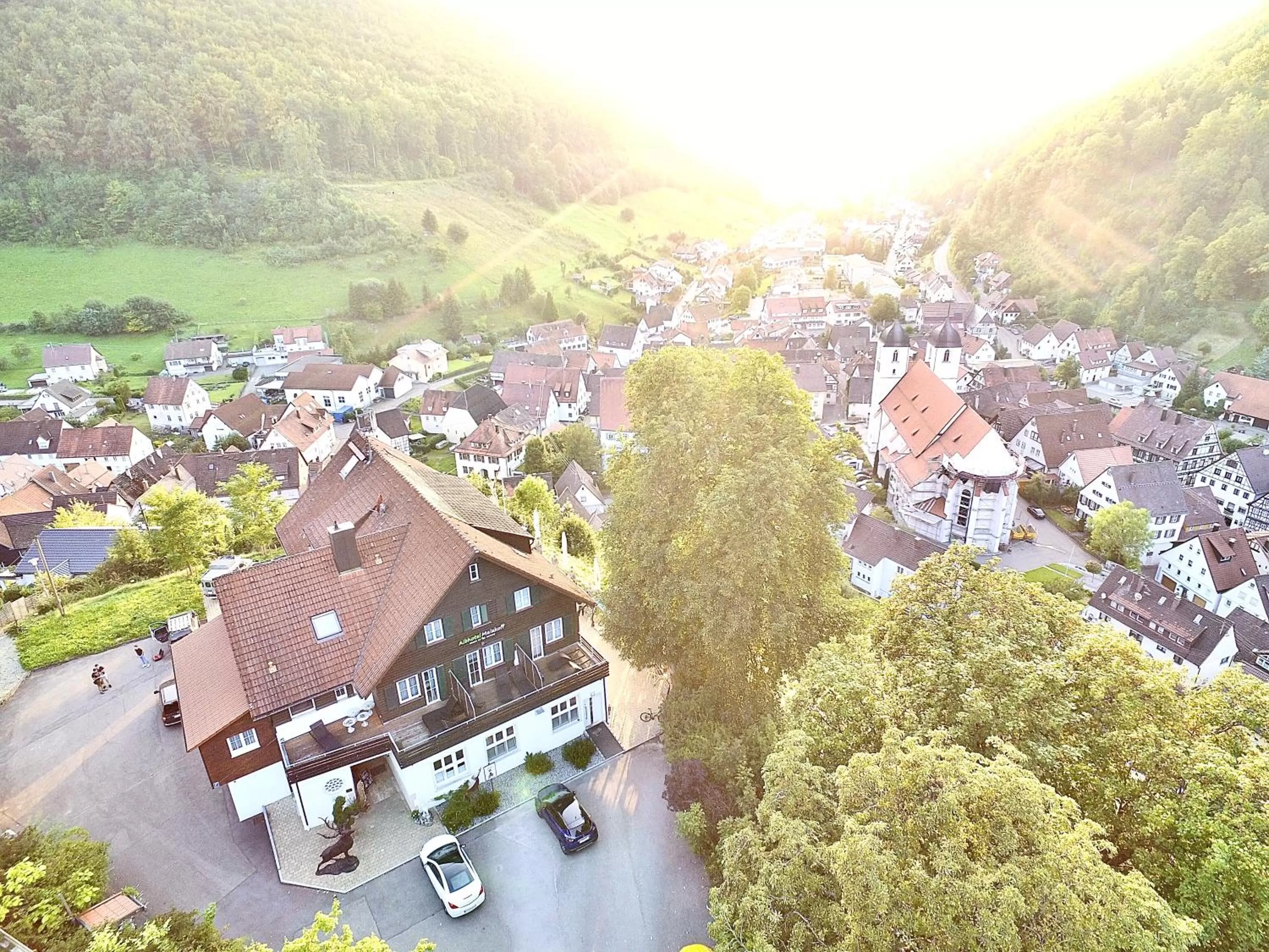 Balcony/Terrace in Albhotel Malakoff - House of Nature