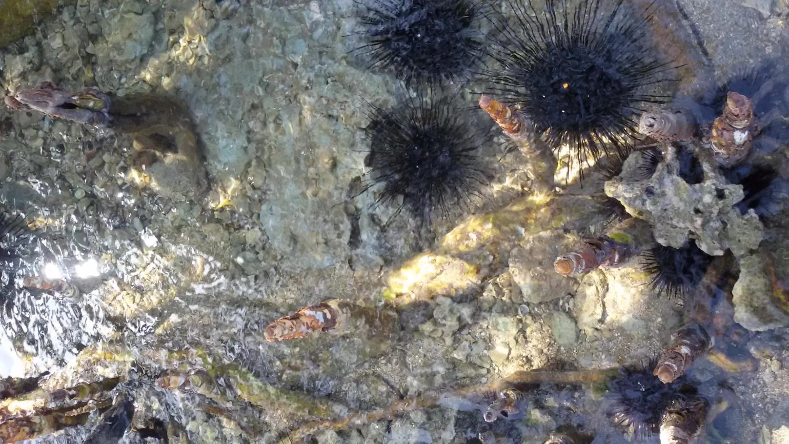 Beach in Bahari Pori Resort