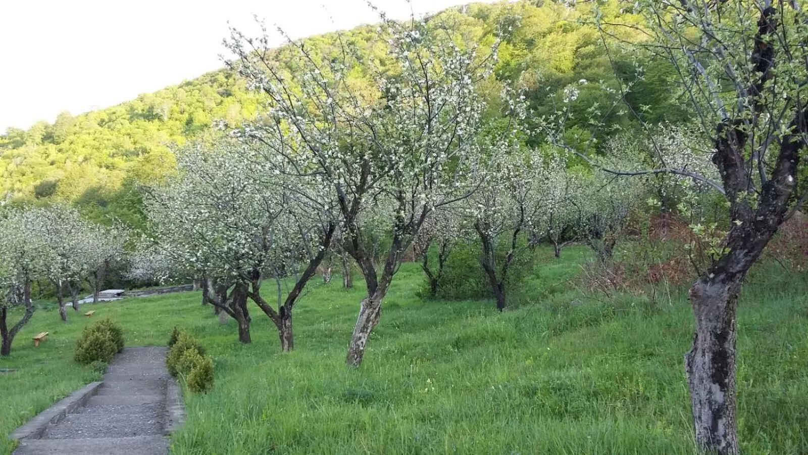 View (from property/room) in Odzun Hotel