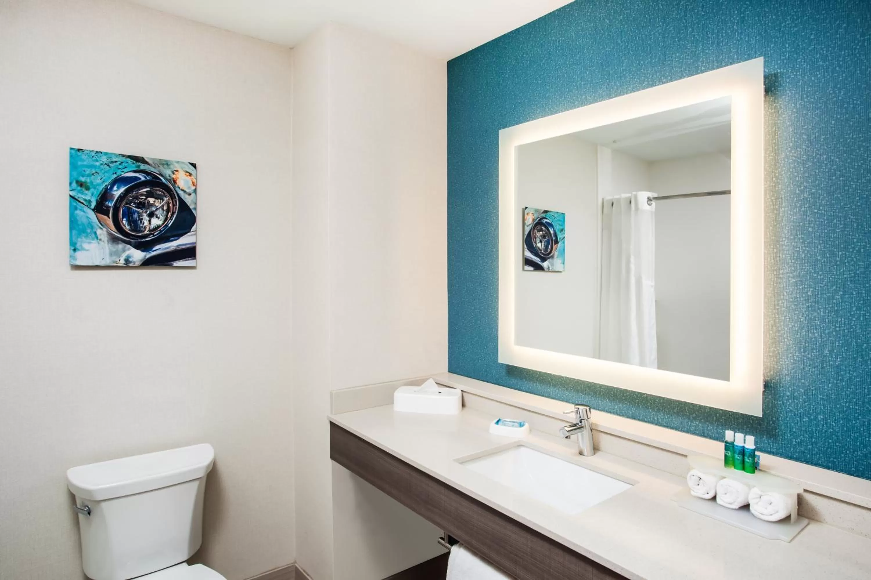Bathroom in Holiday Inn Express & Suites Litchfield by IHG