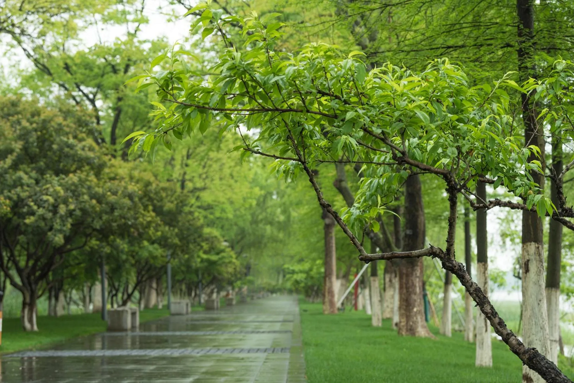 Summer in Fairmont Yangcheng Lake
