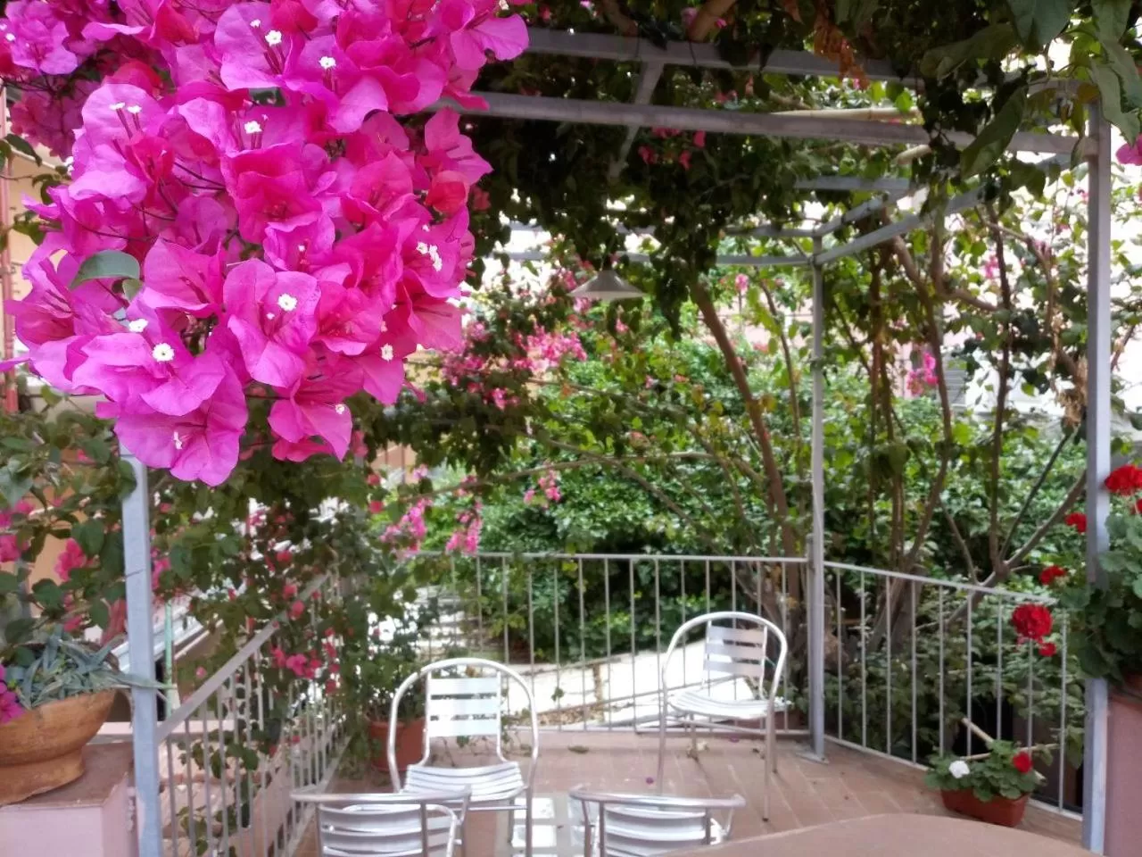 Day in Albergo Italia