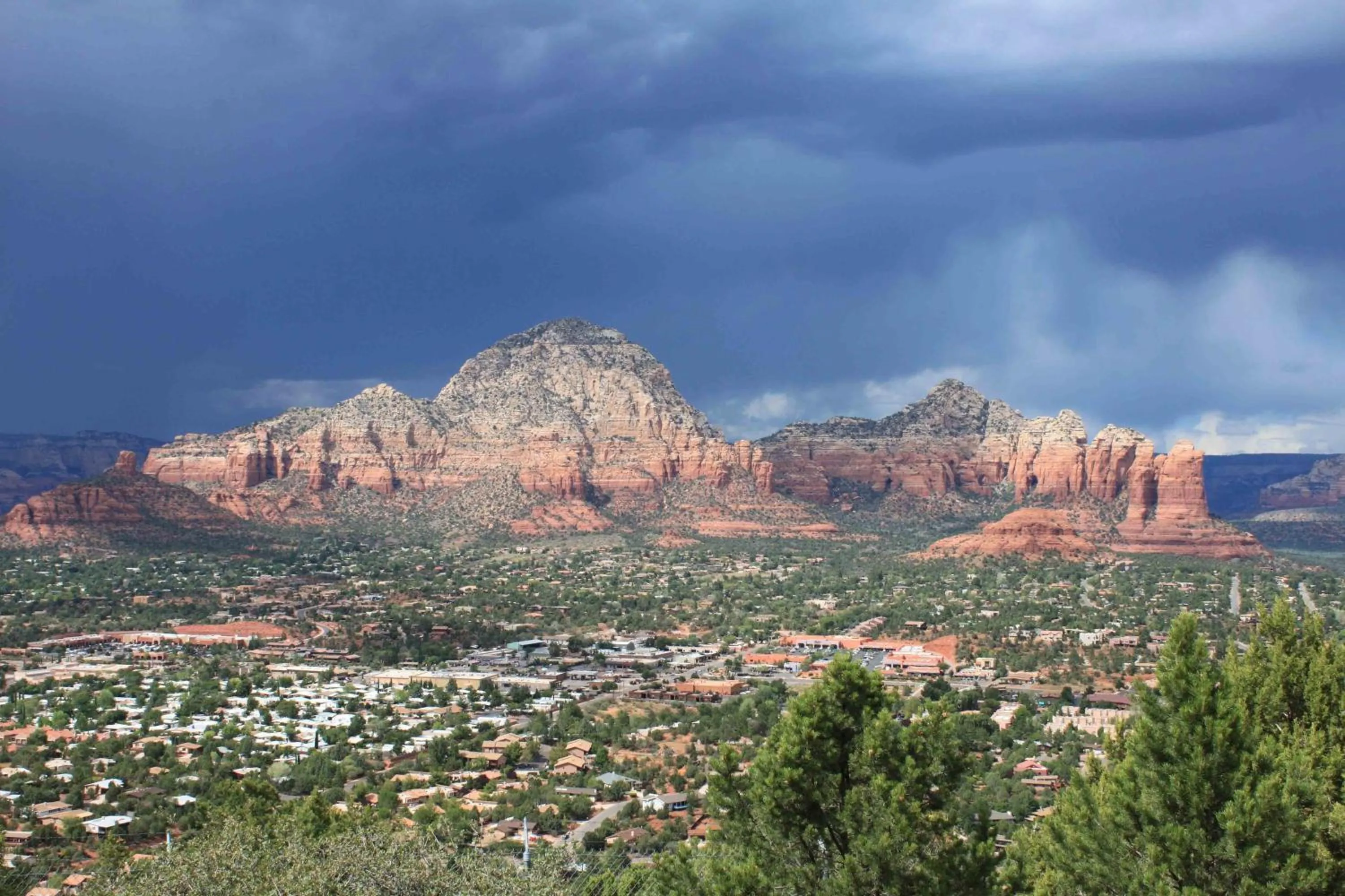 Day in Baby Quail Inn