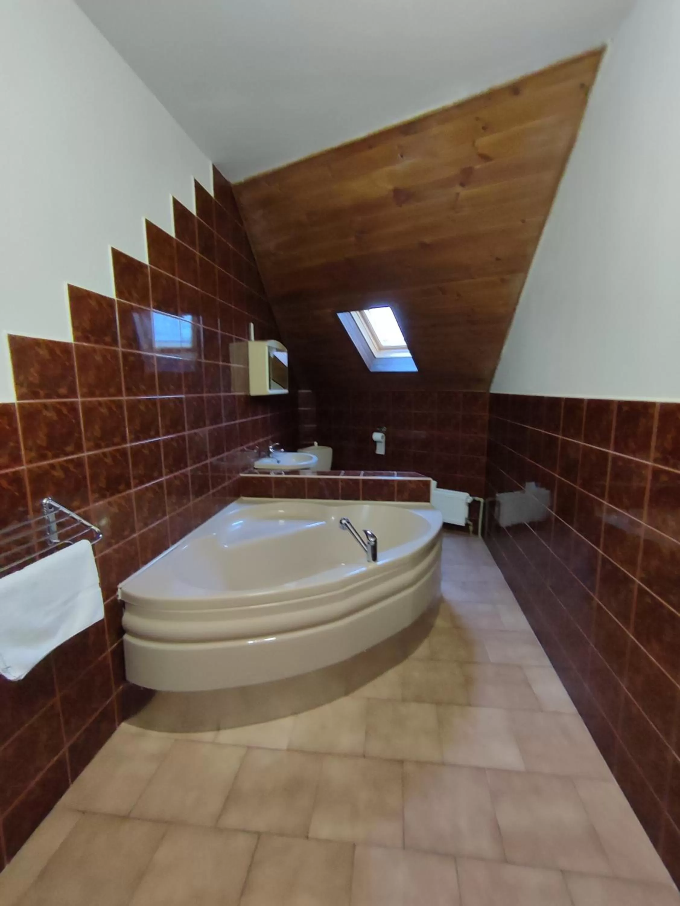 Bathroom in Hotel Bohemia Excellent