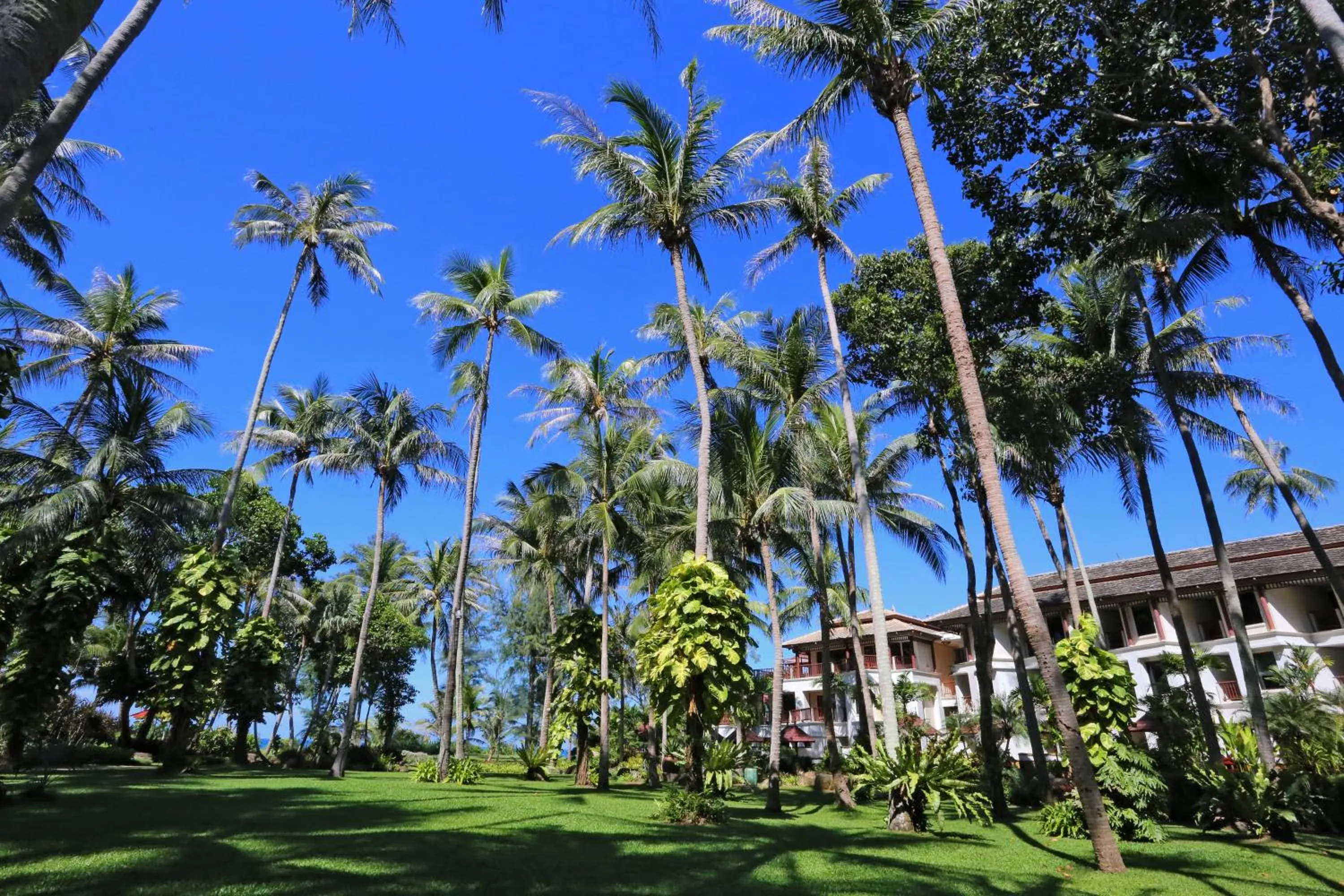 Coffee/tea facilities in JW Marriott Phuket Resort and Spa