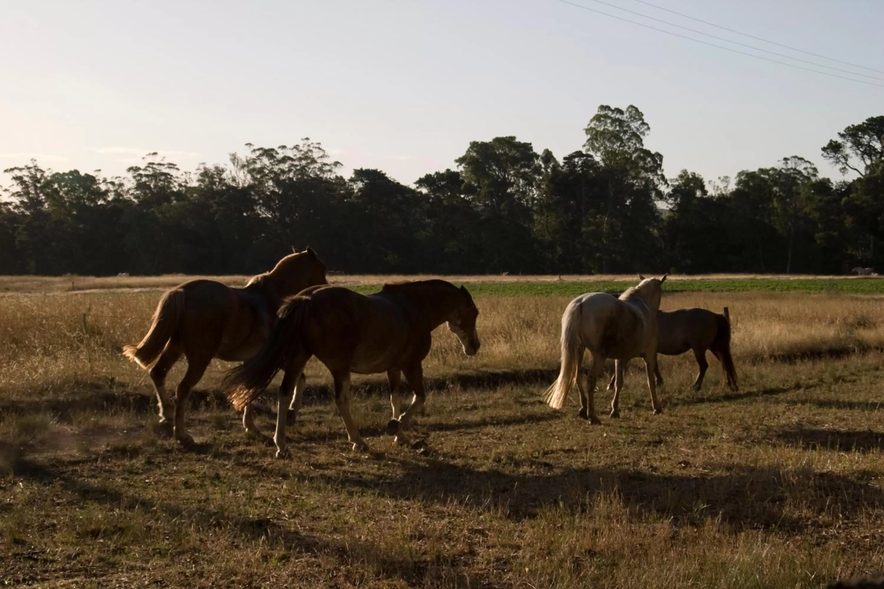 Activities in Estancia Ave María