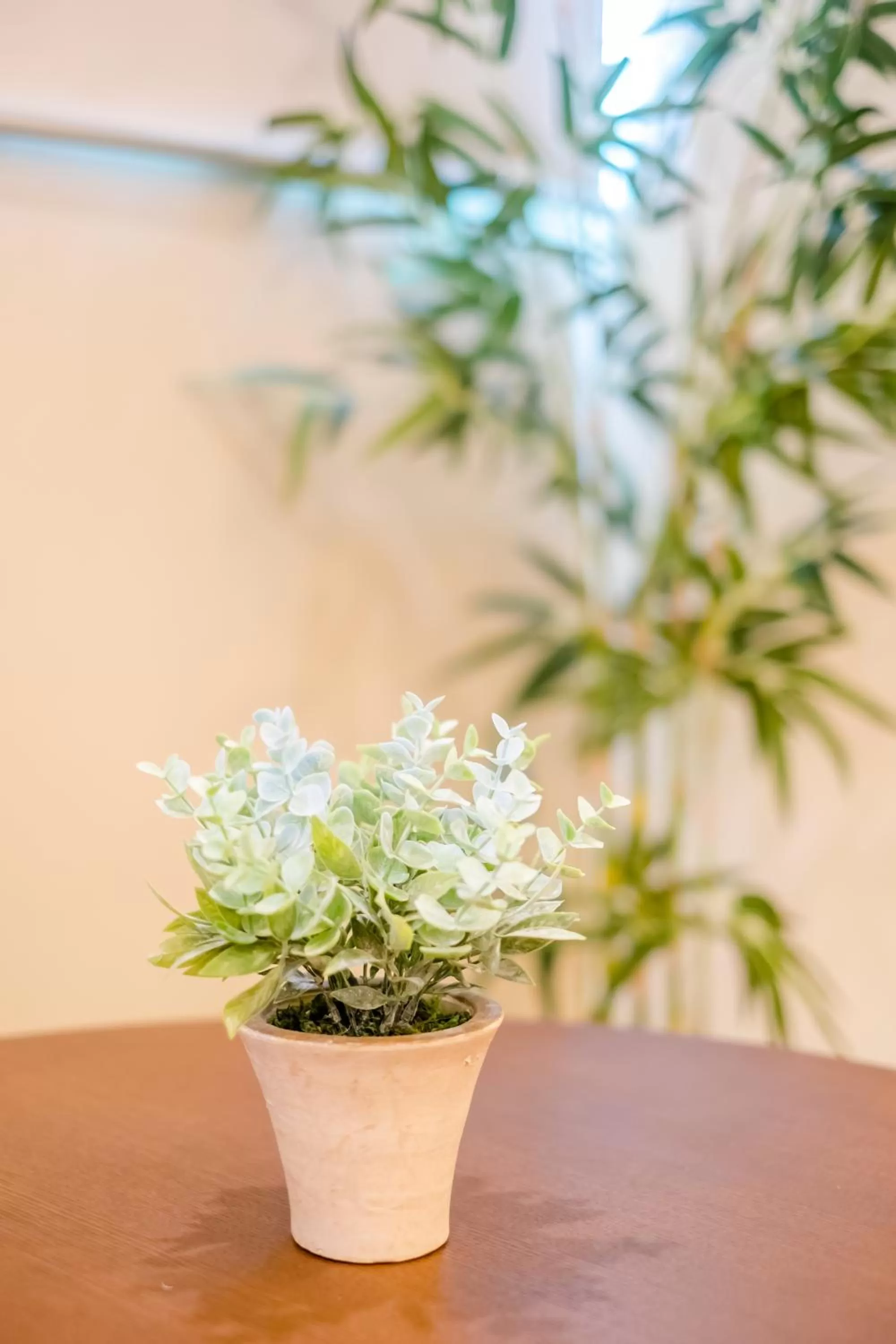 Property building in Bridge Hotel