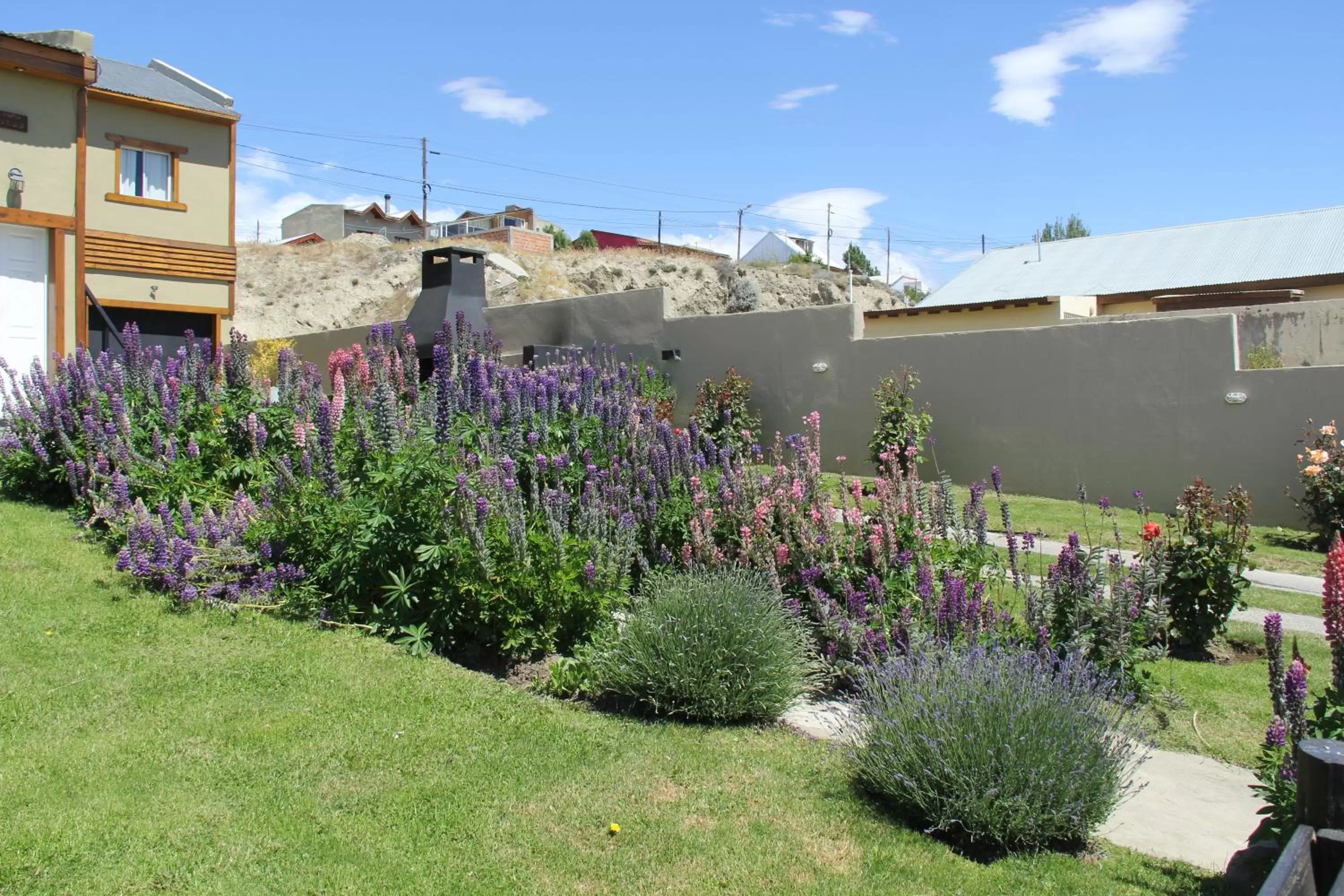 Garden in Apart Haiken