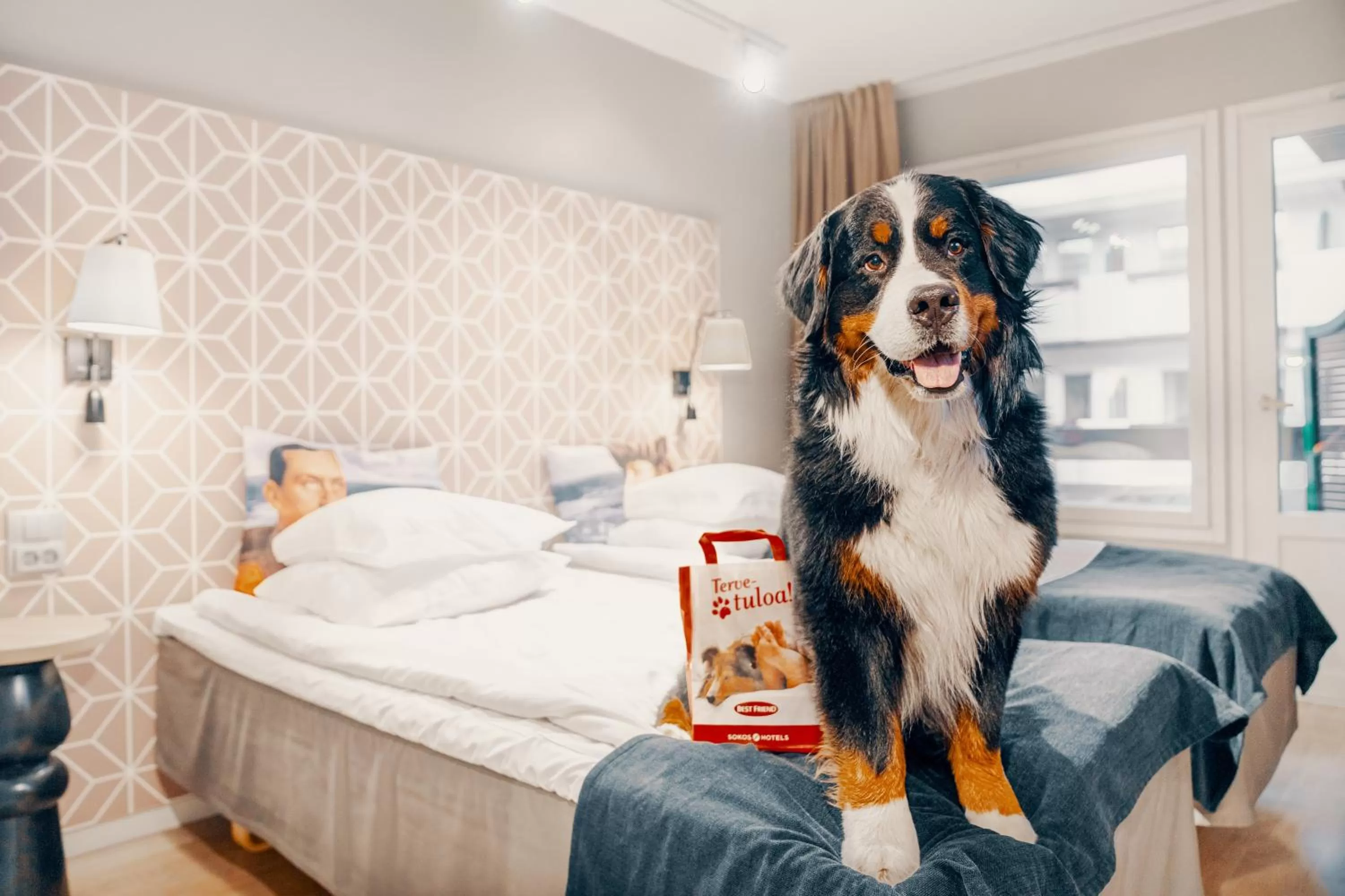 Animals, Bed in Original Sokos Hotel Vaakuna Mikkeli