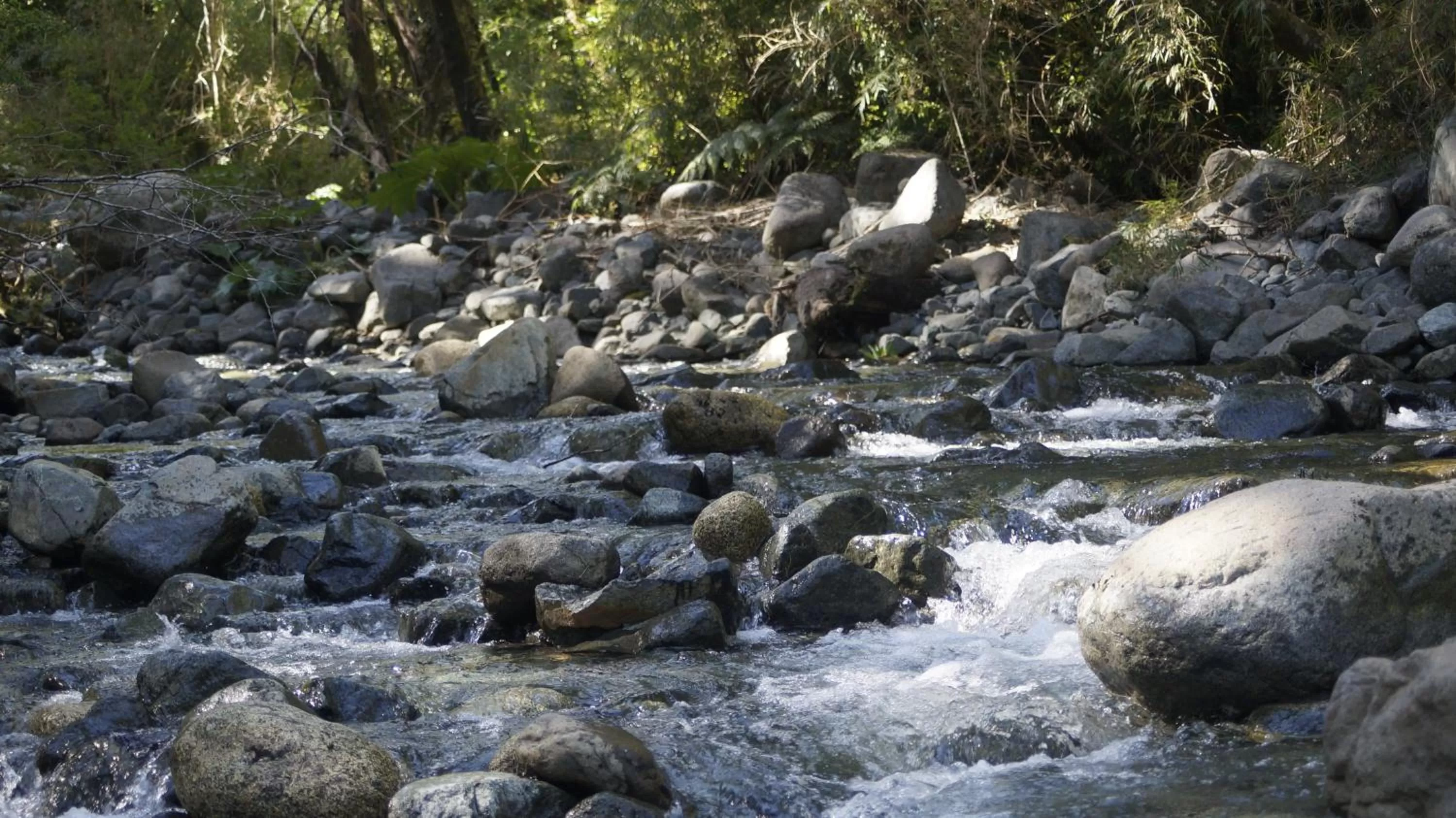 Natural landscape in Posada de Expediciones Kahuel