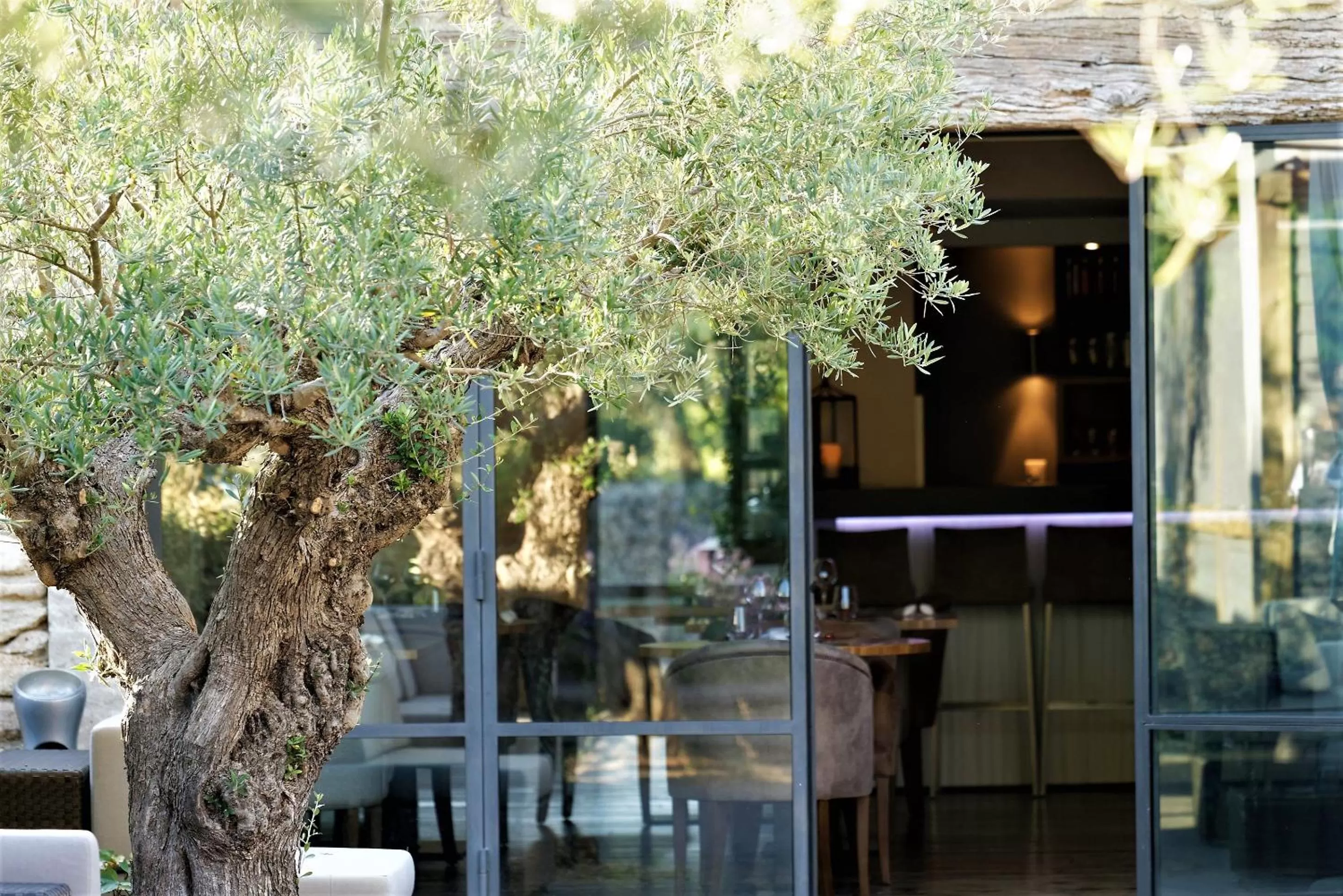 Garden in Domaine la Pierre Blanche