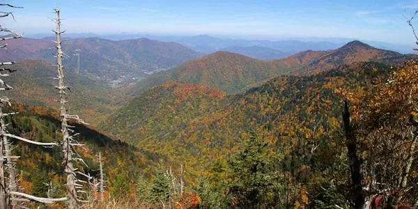 Jonathan Creek Inn and Villas