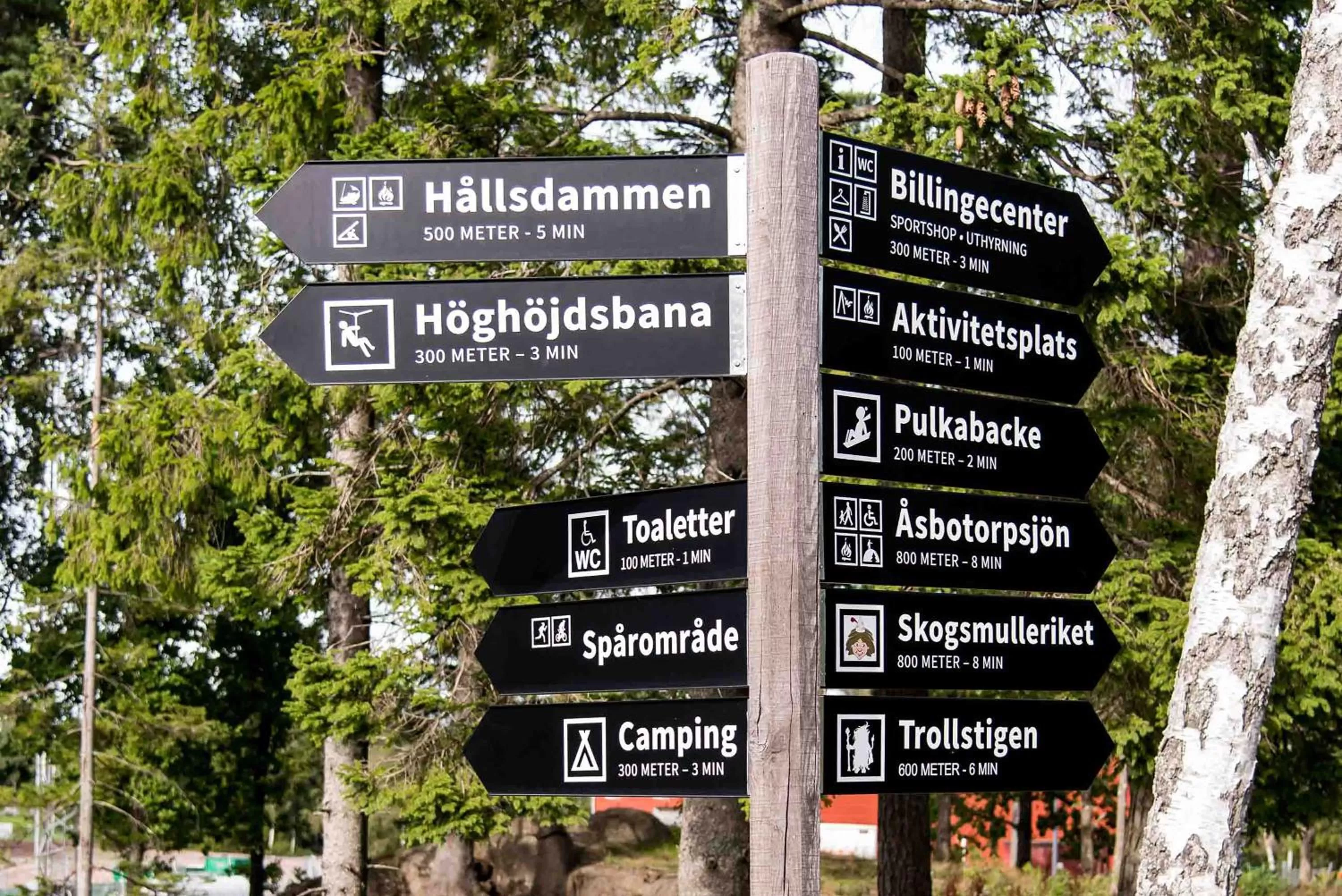 Activities in Billingehus