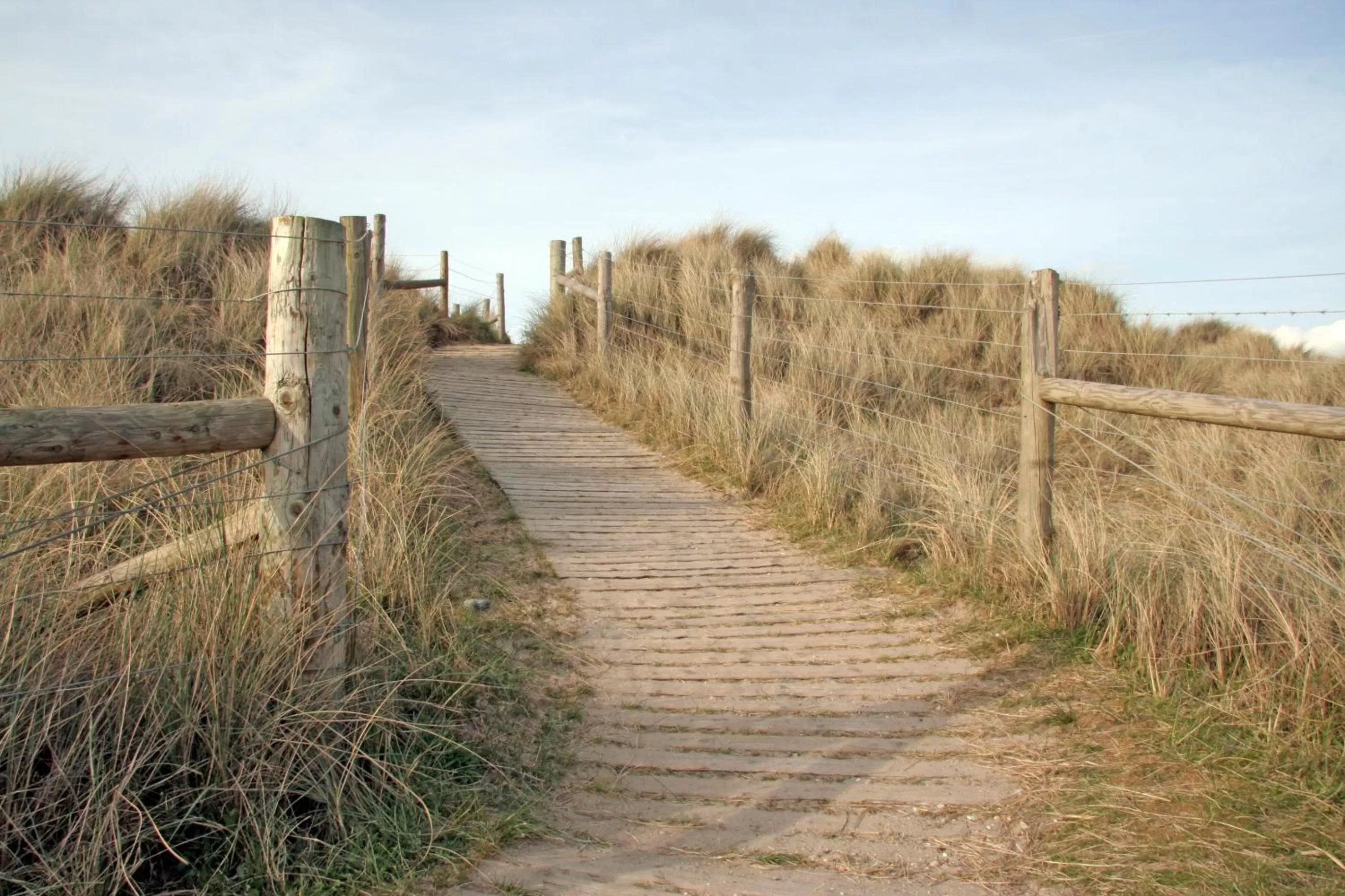 Natural landscape in Boutique Hotel 'Hof ter Duinen'