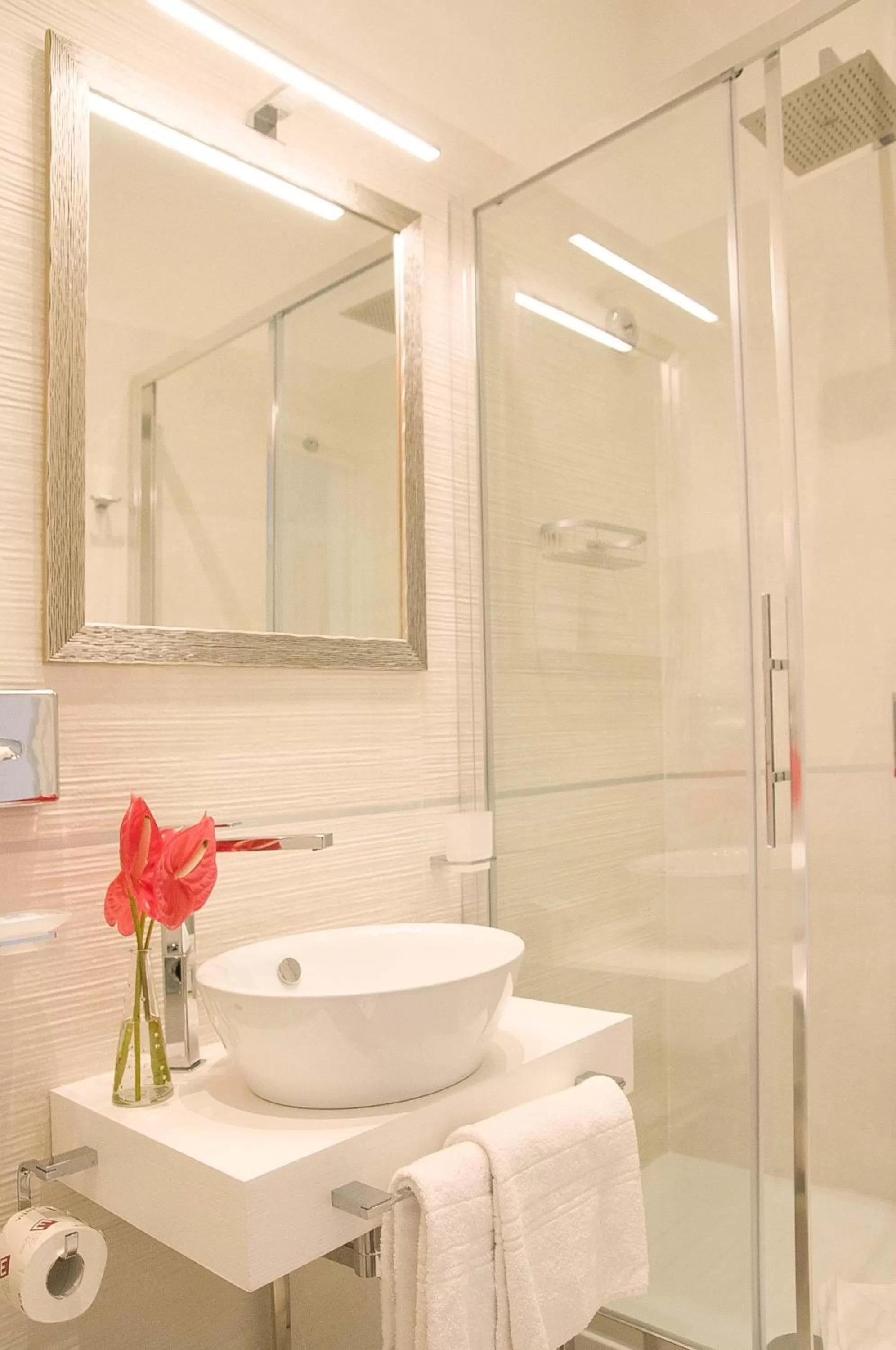 Shower in Hotel Scalinata Di Spagna