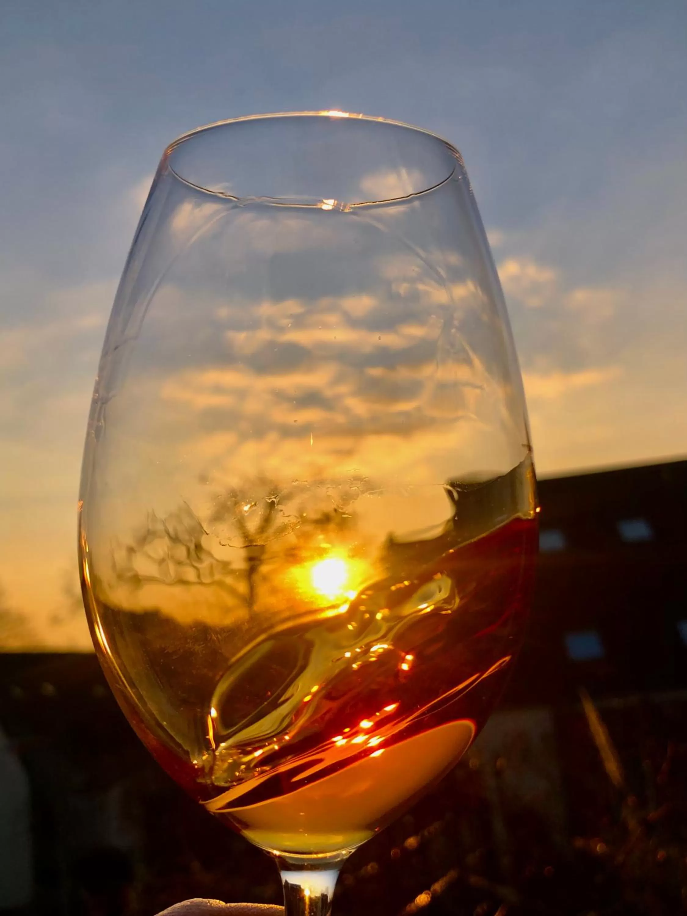 Food and drinks in Montana Hotel Köln-Bonn Airport