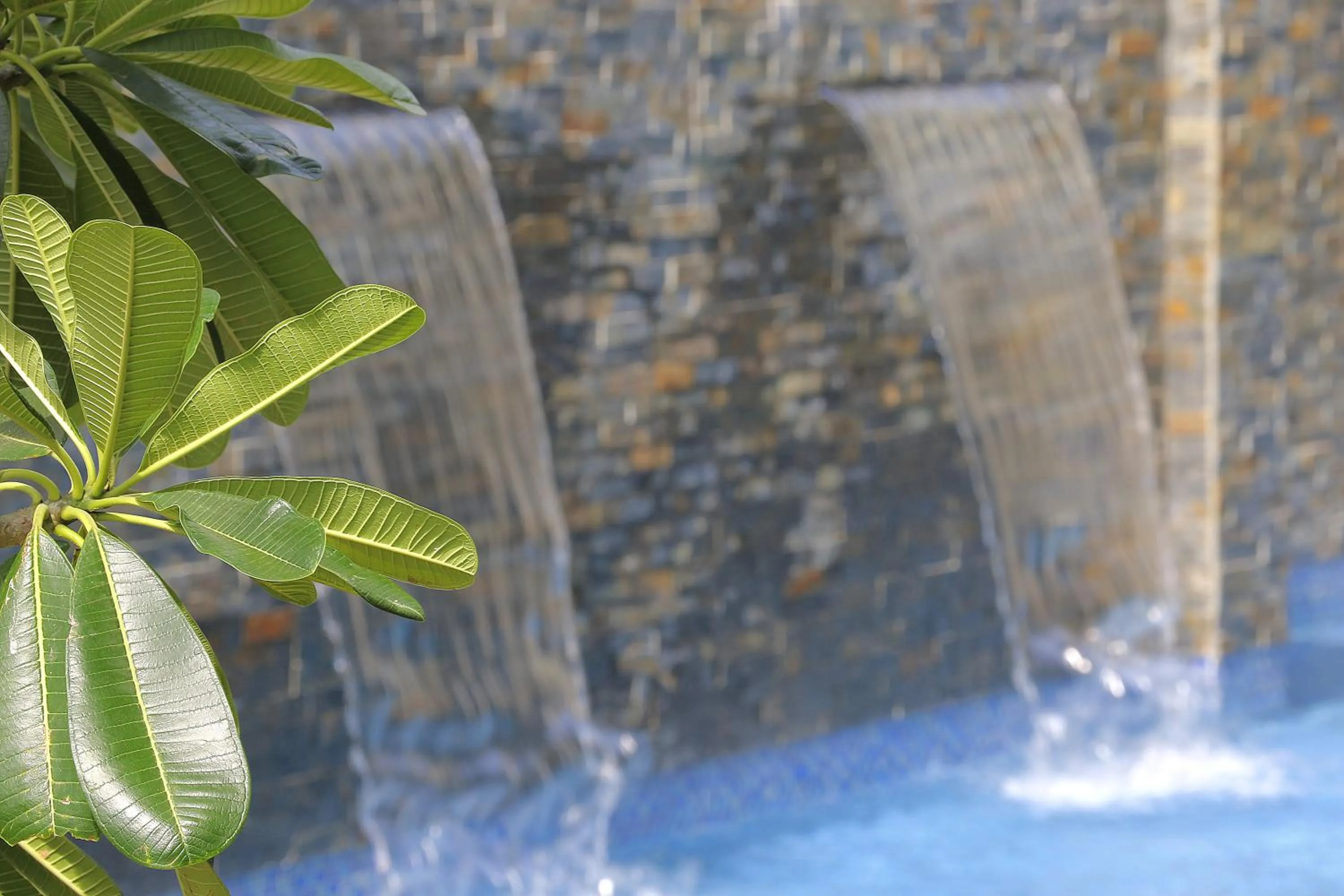 Property building in The Palms Denarau Fiji