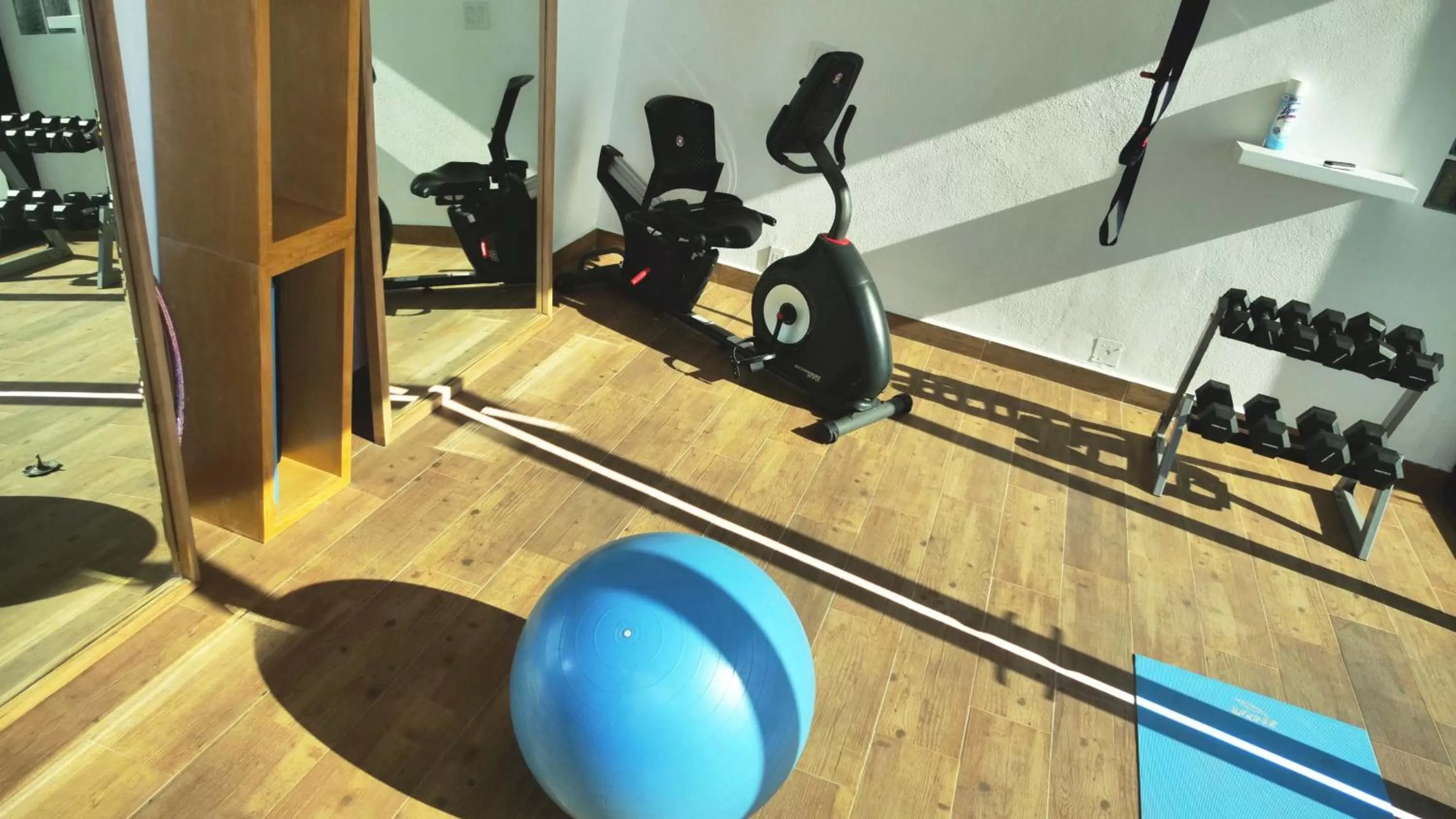 Fitness centre/facilities in Nereidas Lofts