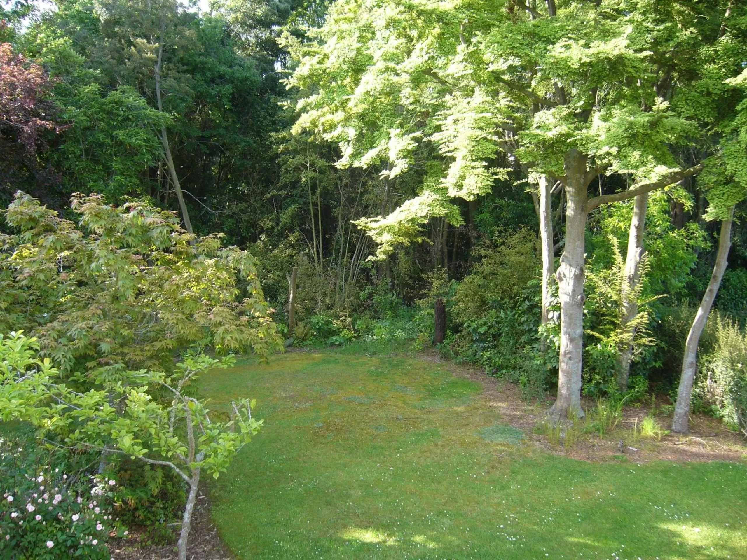 Garden view, Garden in Forest Manor