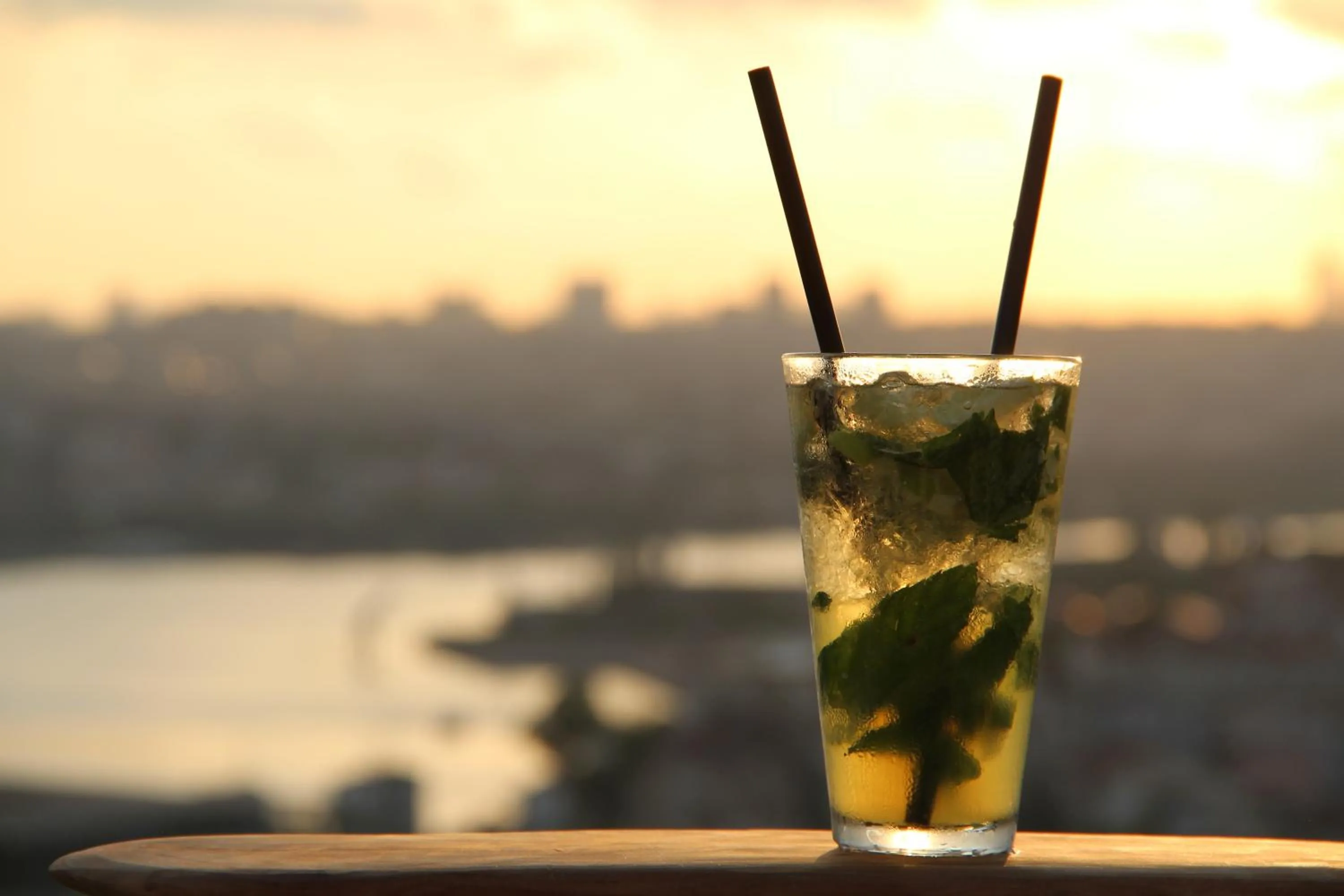 Food and drinks in Tulip City Hotel & Spa