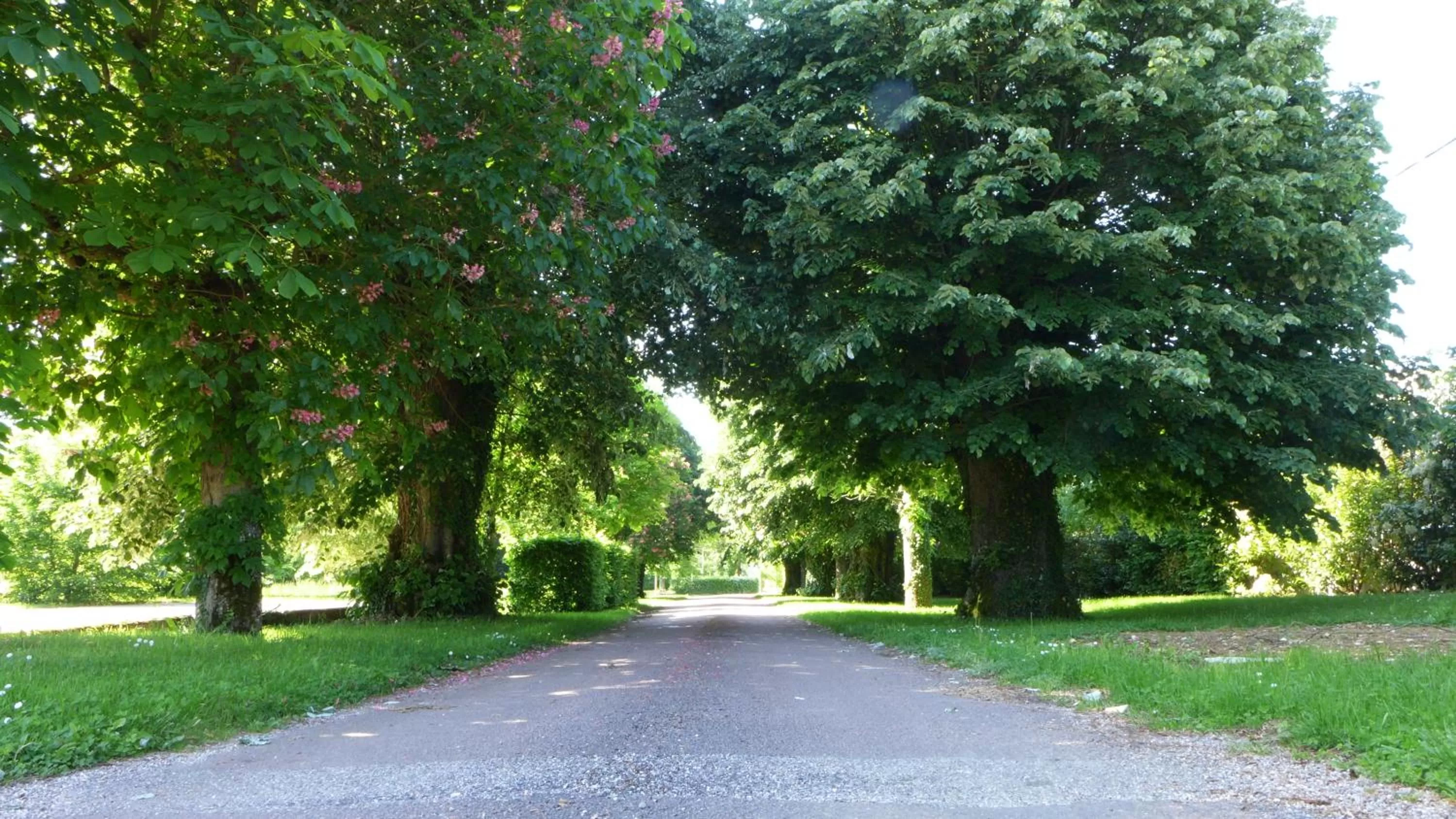 Natural landscape in Hôtel La Vinaigrerie LOGIS