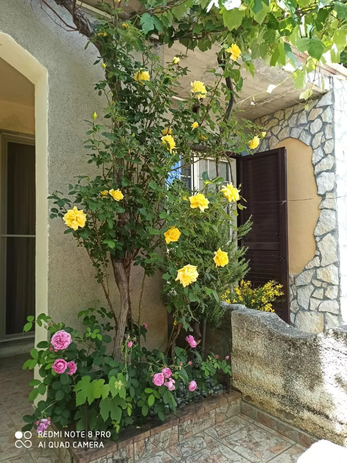 Garden in Dolcedorme del Pollino