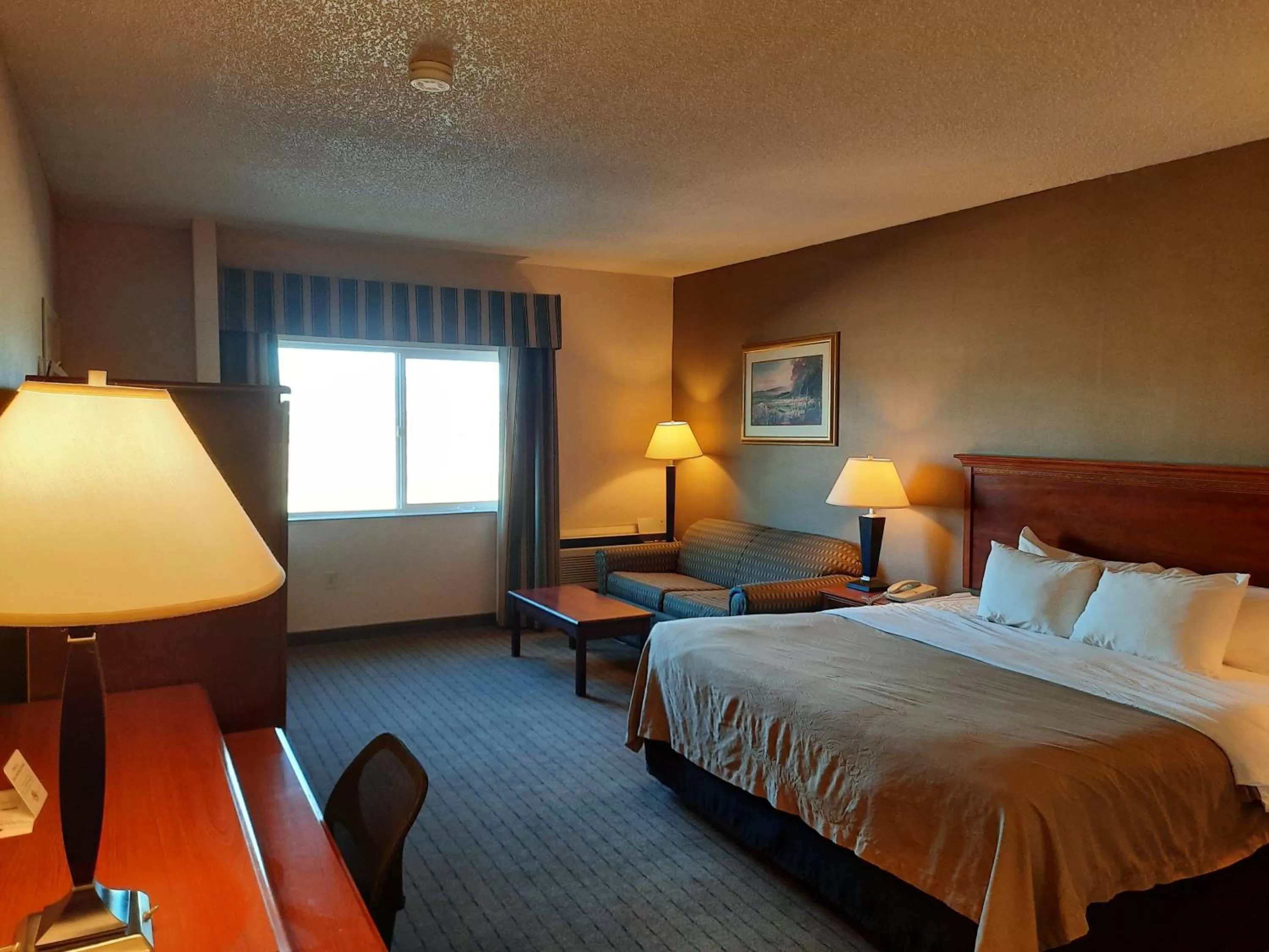 Photo of the whole room, Bed in Quality Inn & Suites Grants - I-40