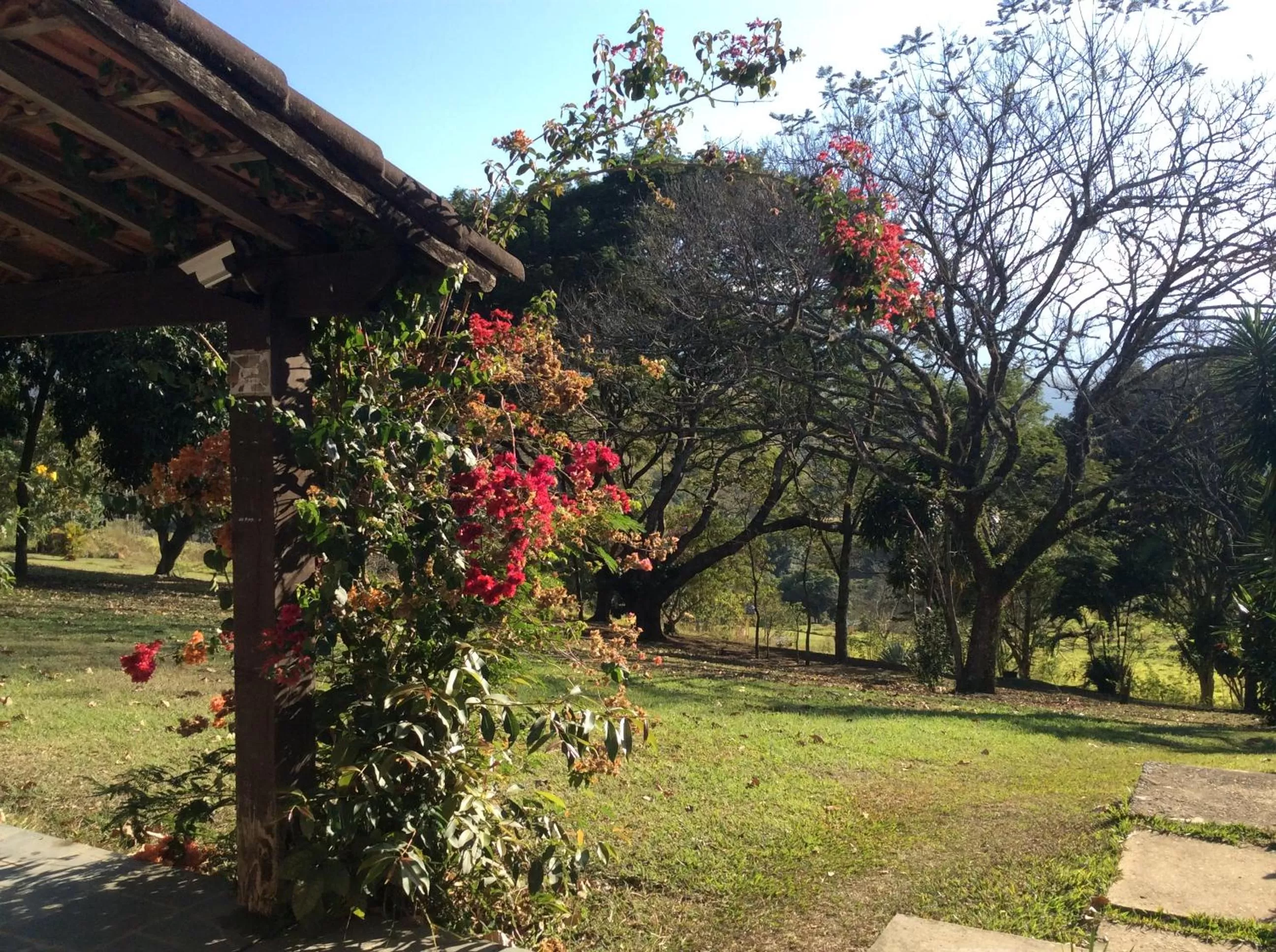 Garden in Pousada Flor da Serra