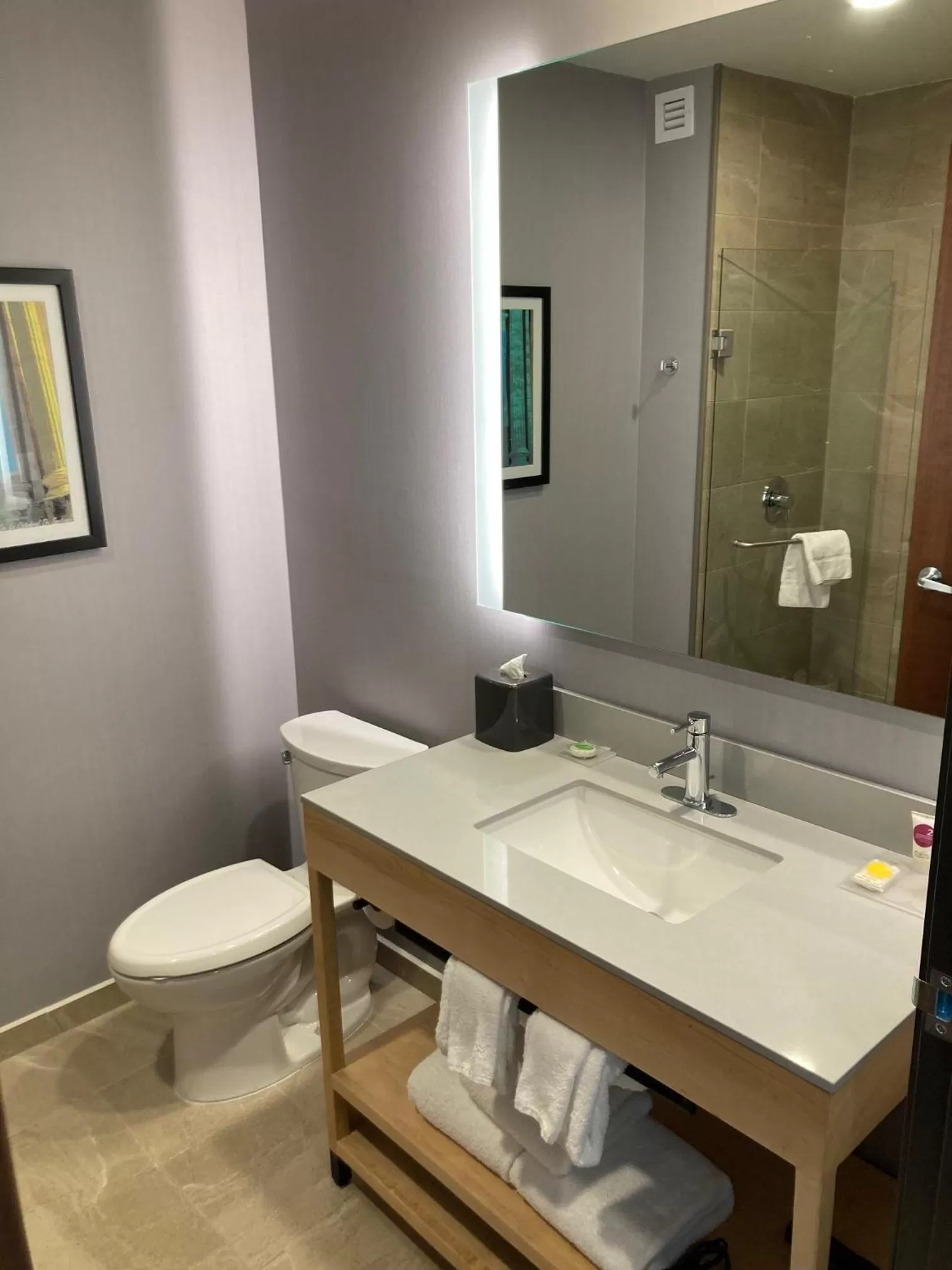 Bathroom in Hyatt Place Saltillo