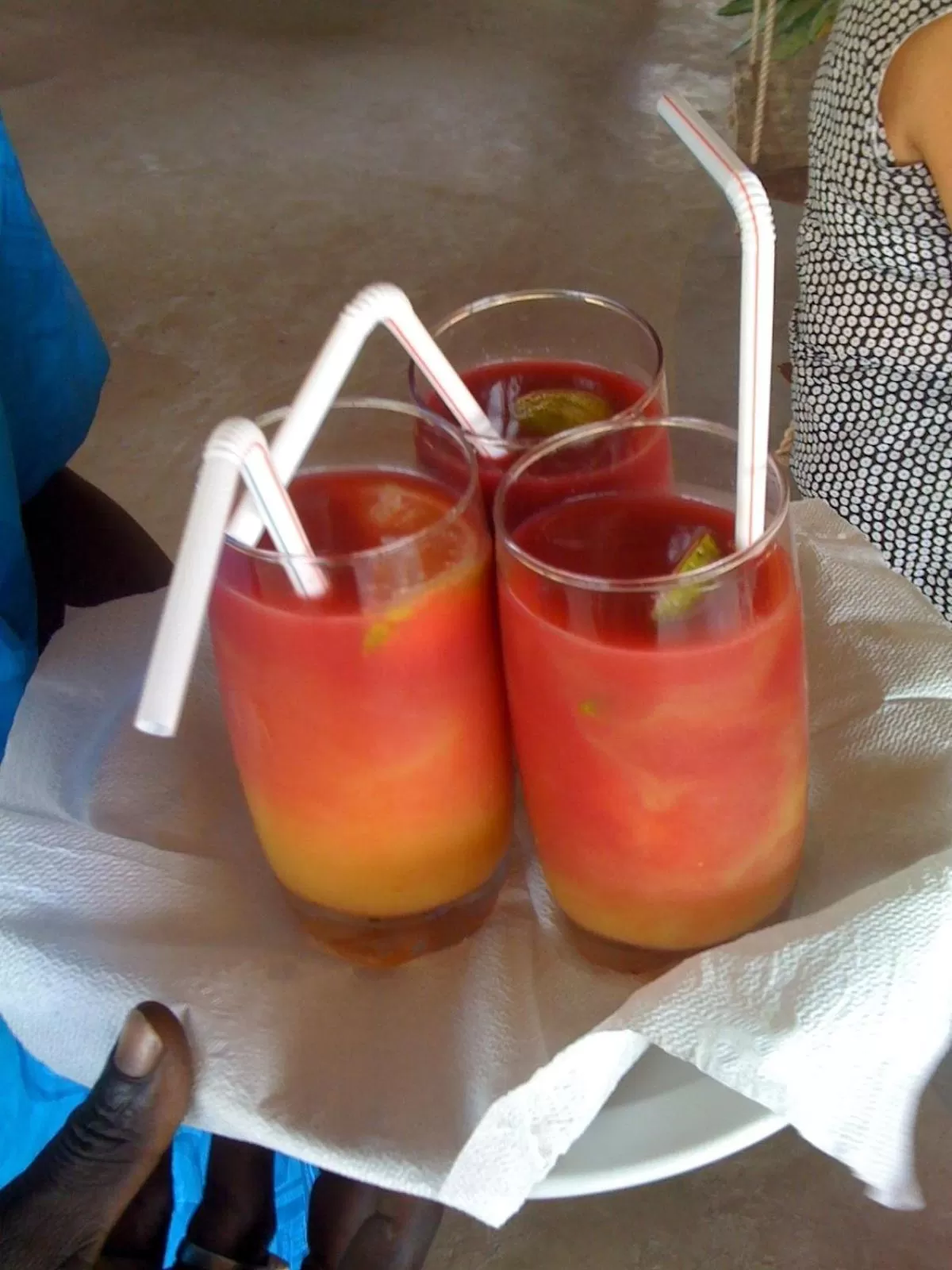 Alcoholic drinks in Nemasu Eco-lodge