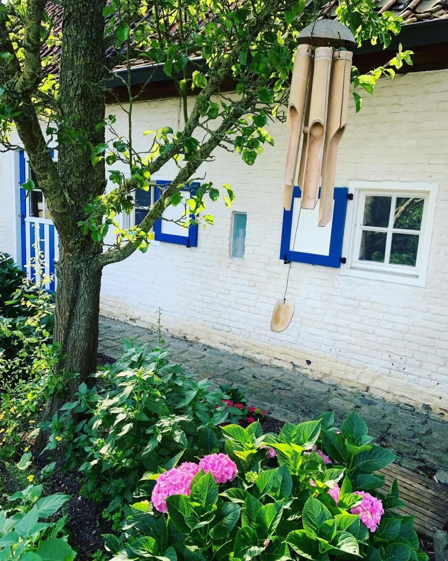 Hamiora wellness B&B