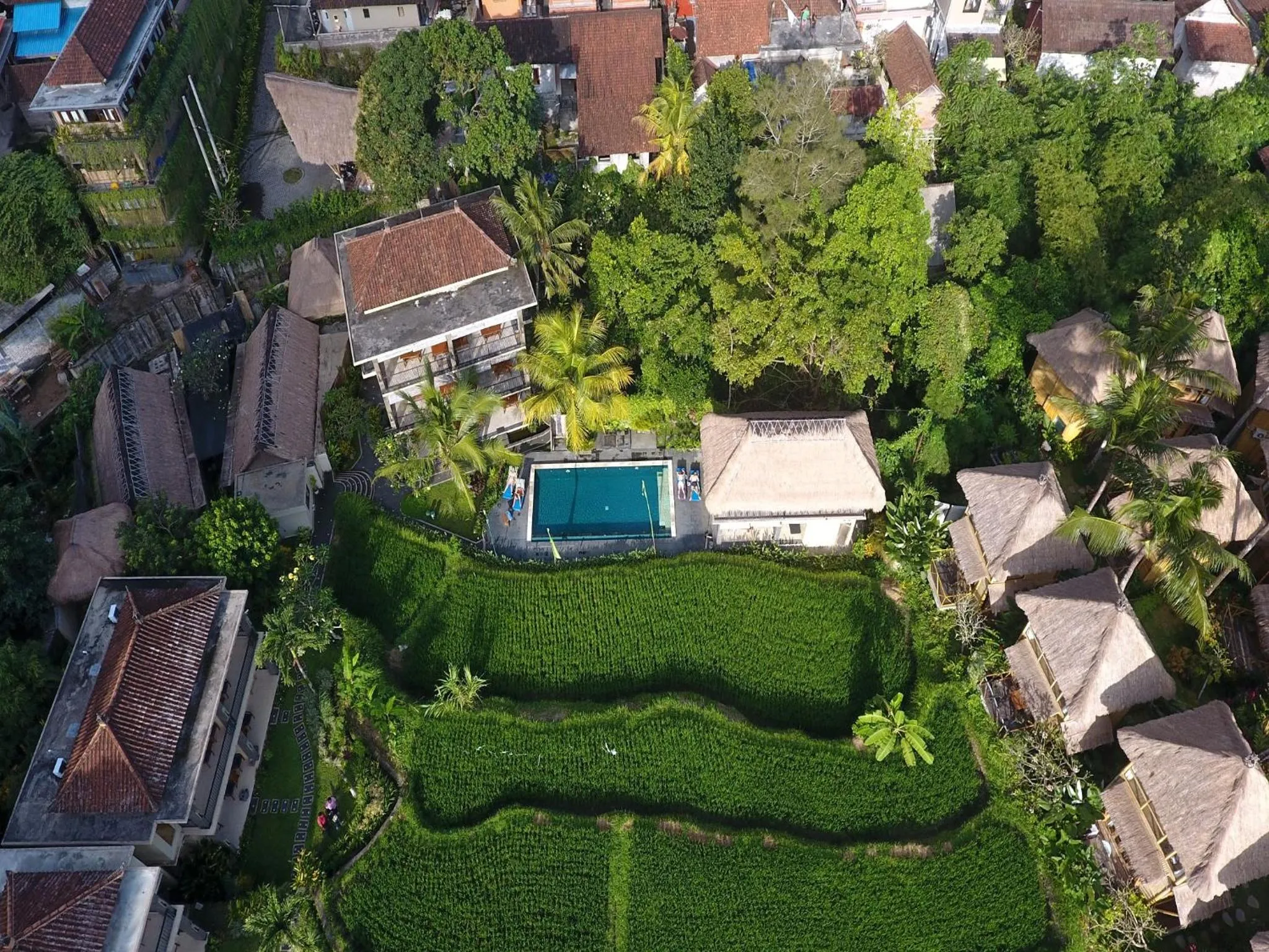 Natural landscape in Biyukukung Suite & Spa