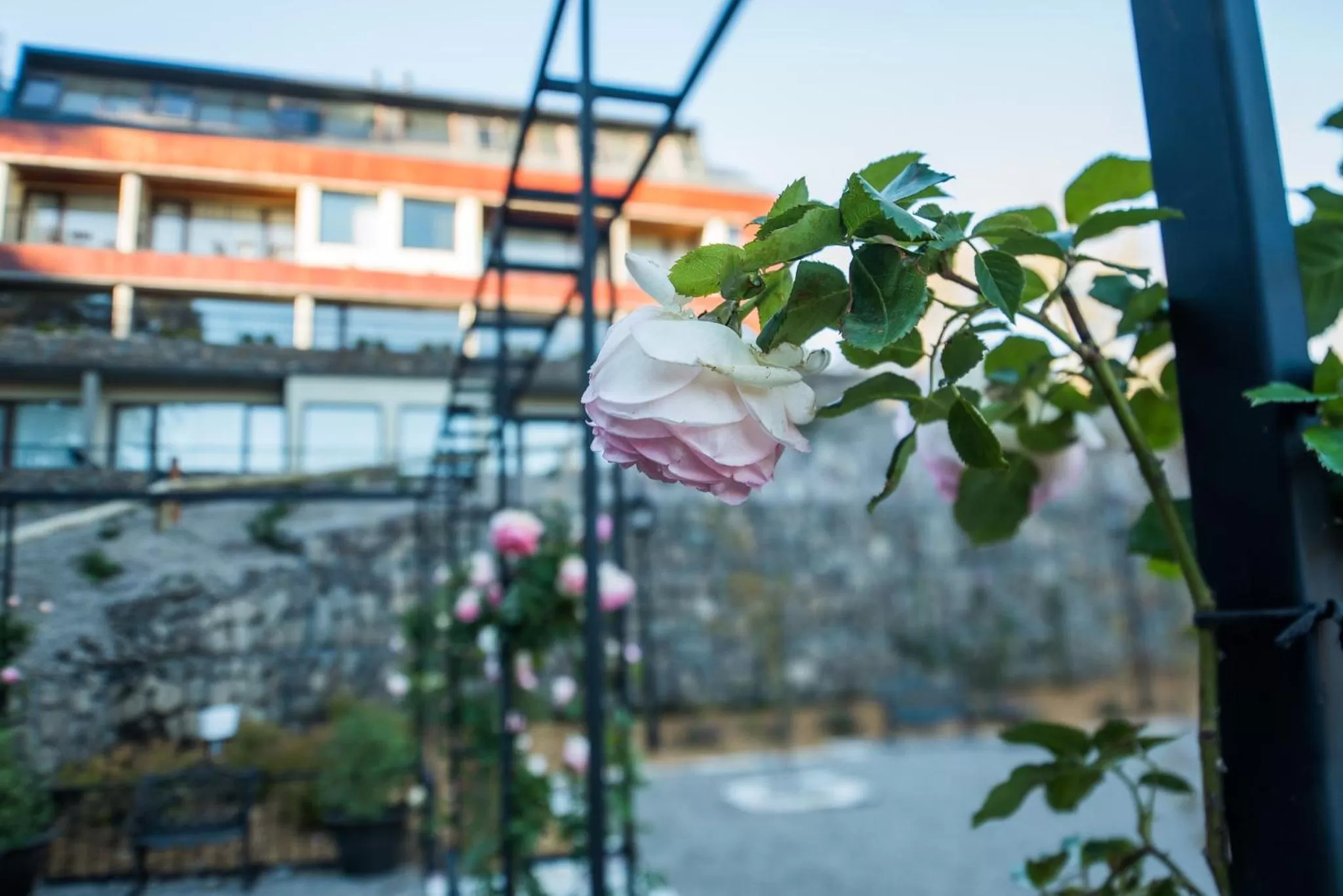 Property building in Paraíso Casa de Montaña