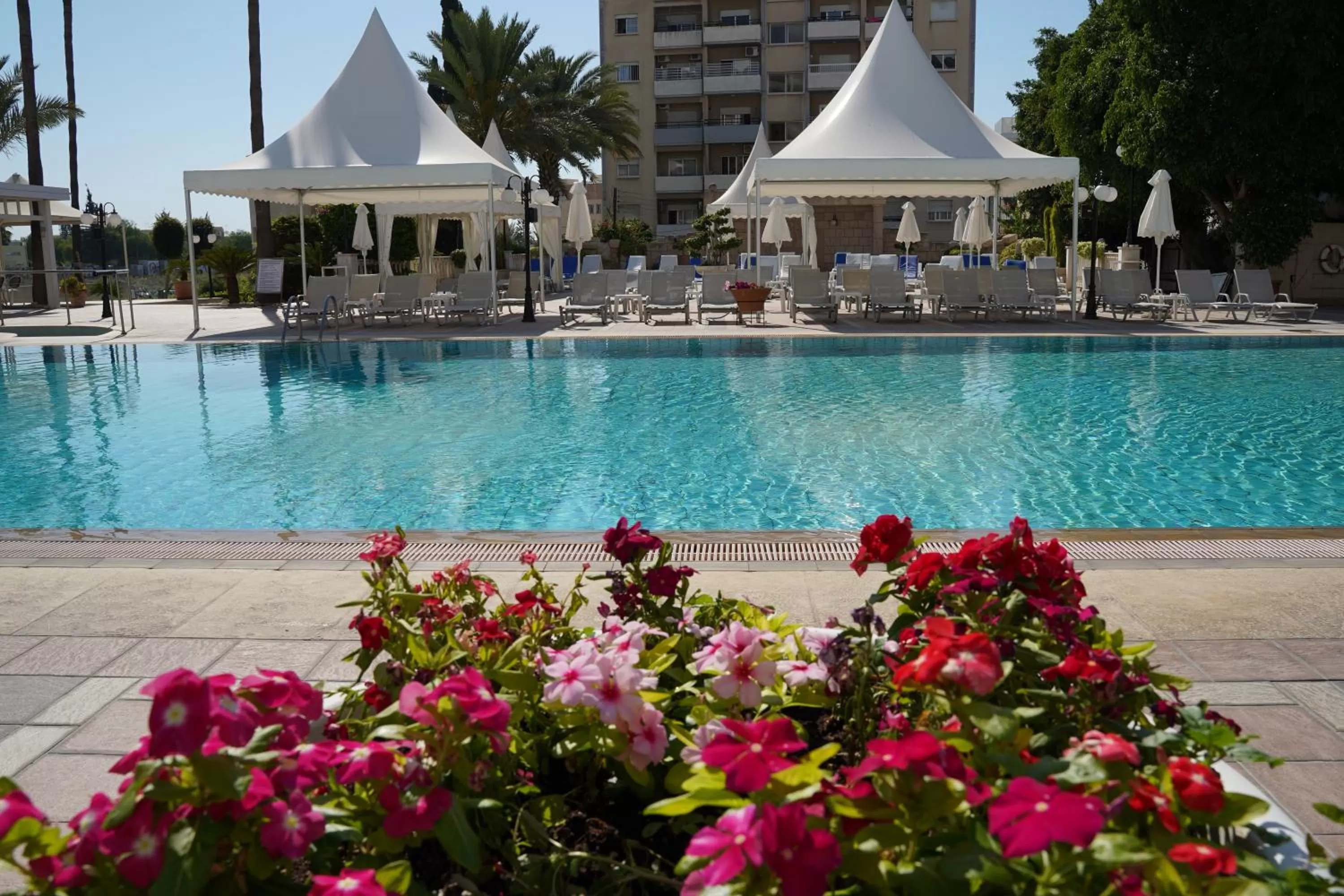 Swimming pool in Ajax Hotel
