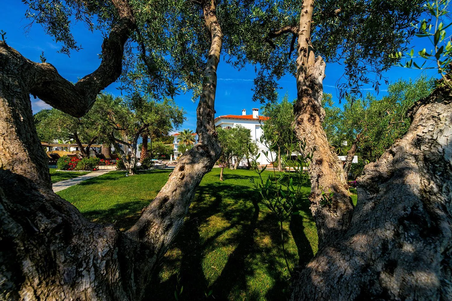 Natural landscape in Flegra Palace