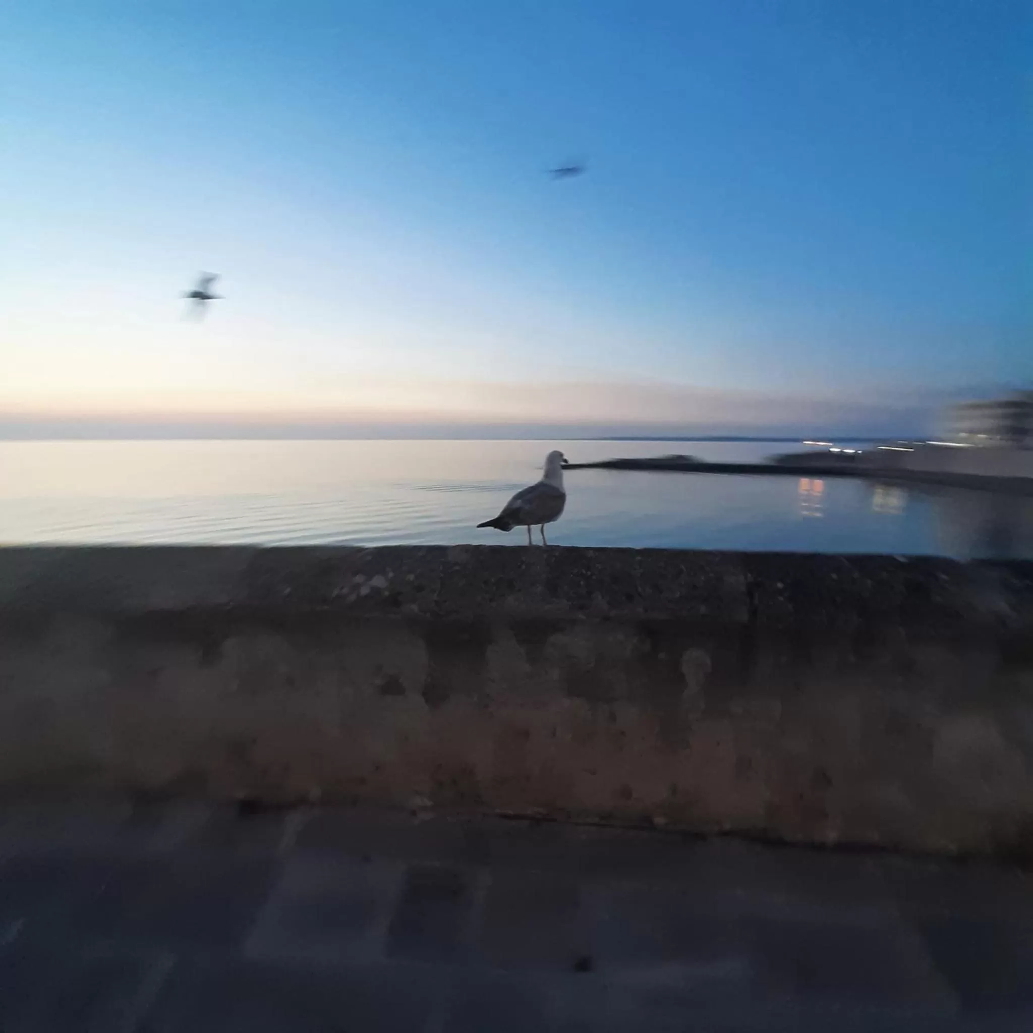 Natural landscape in Medusa Gallipoli