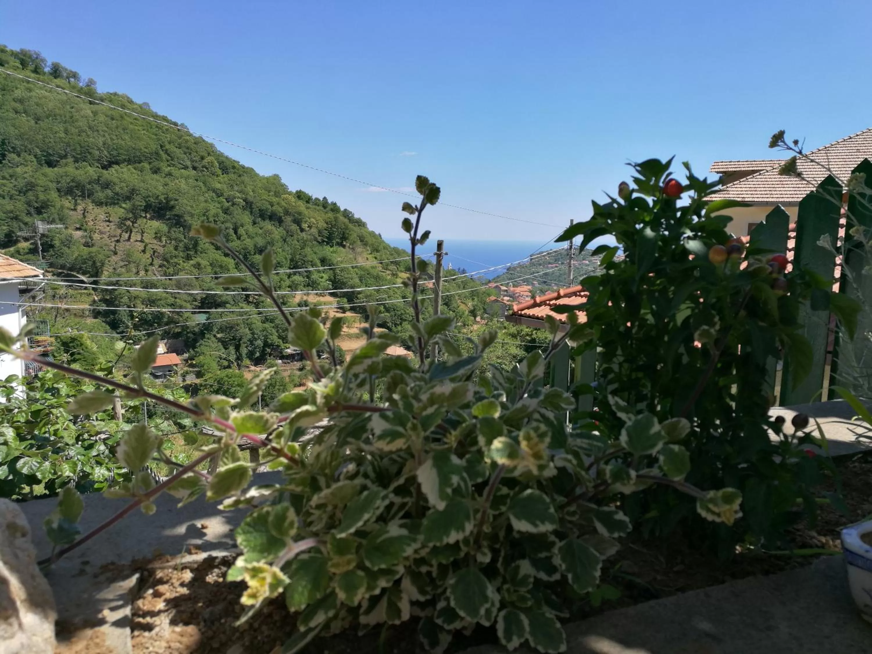 Sea view in Songbird