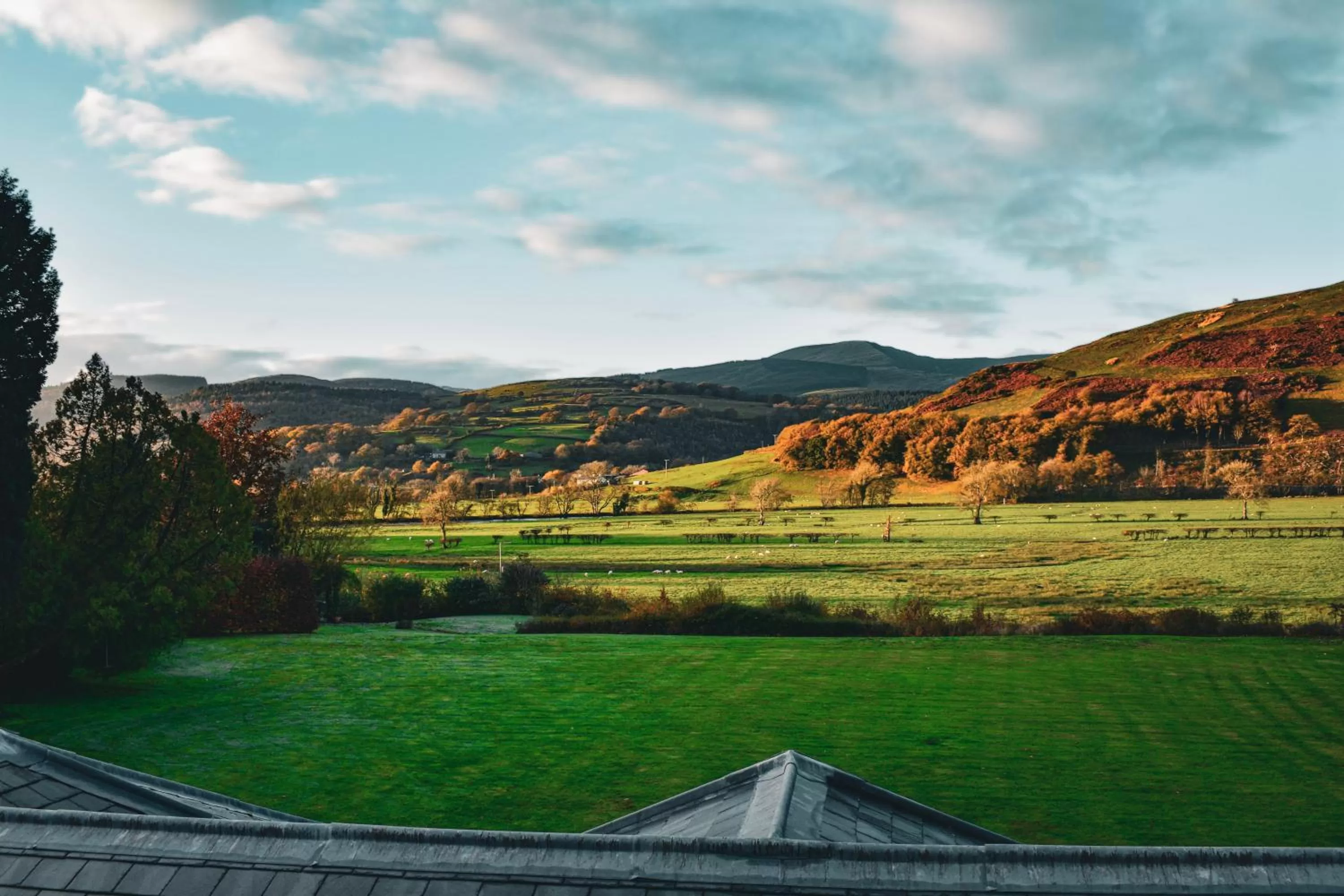 Natural landscape in Plas Dolguog