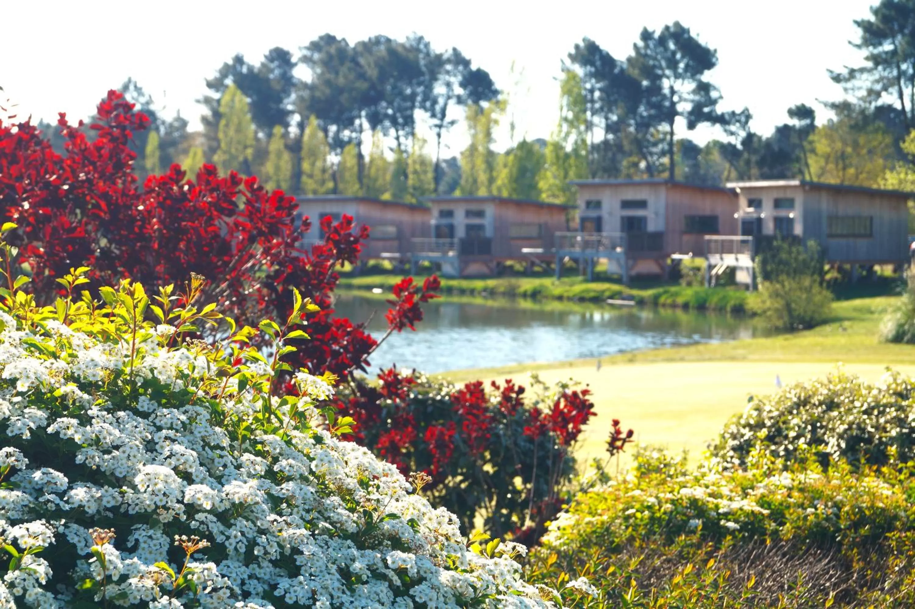 Écolodges du Golf du Sauternais