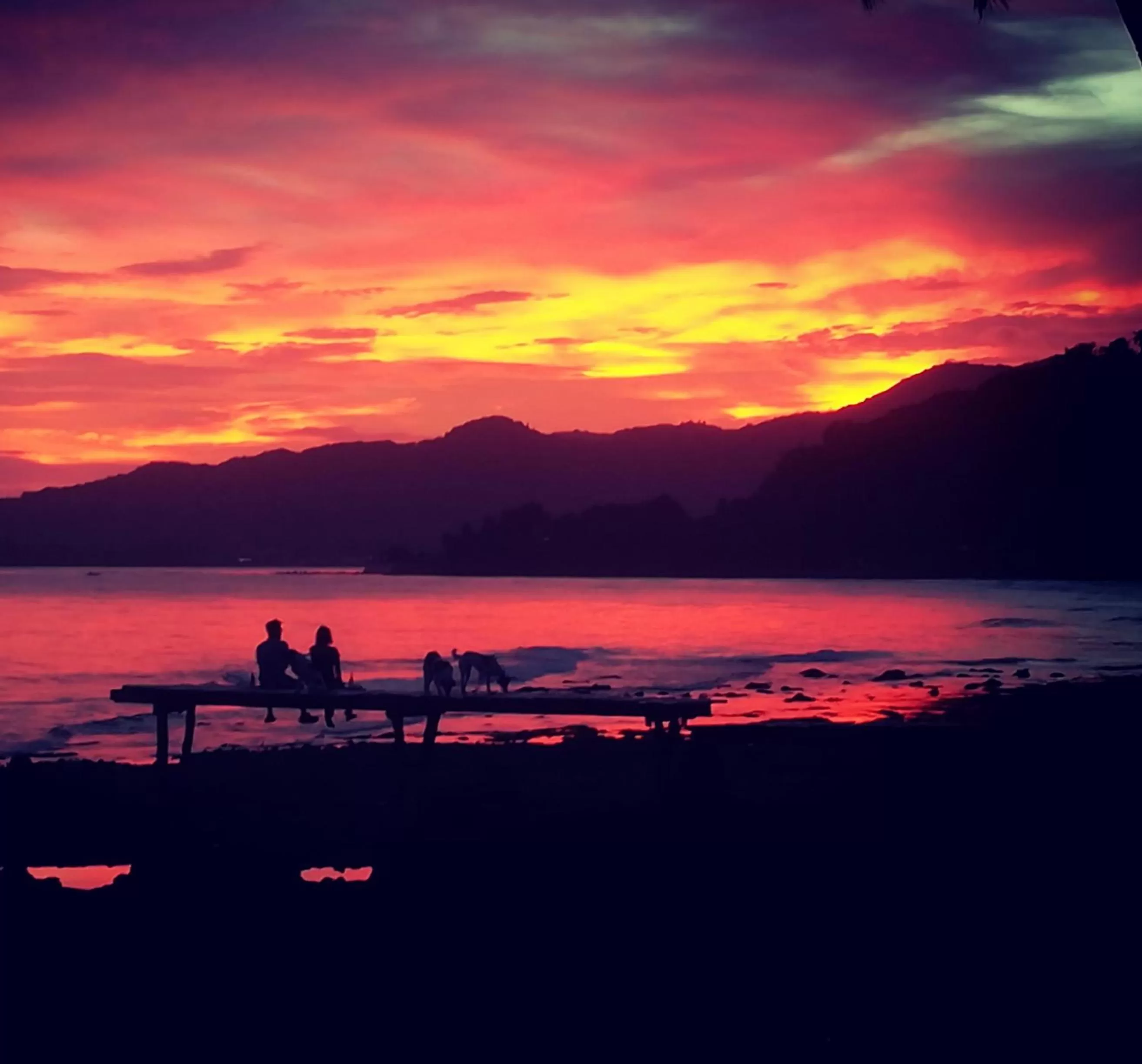 Pets in Paseo Del Mar Seaside Inn