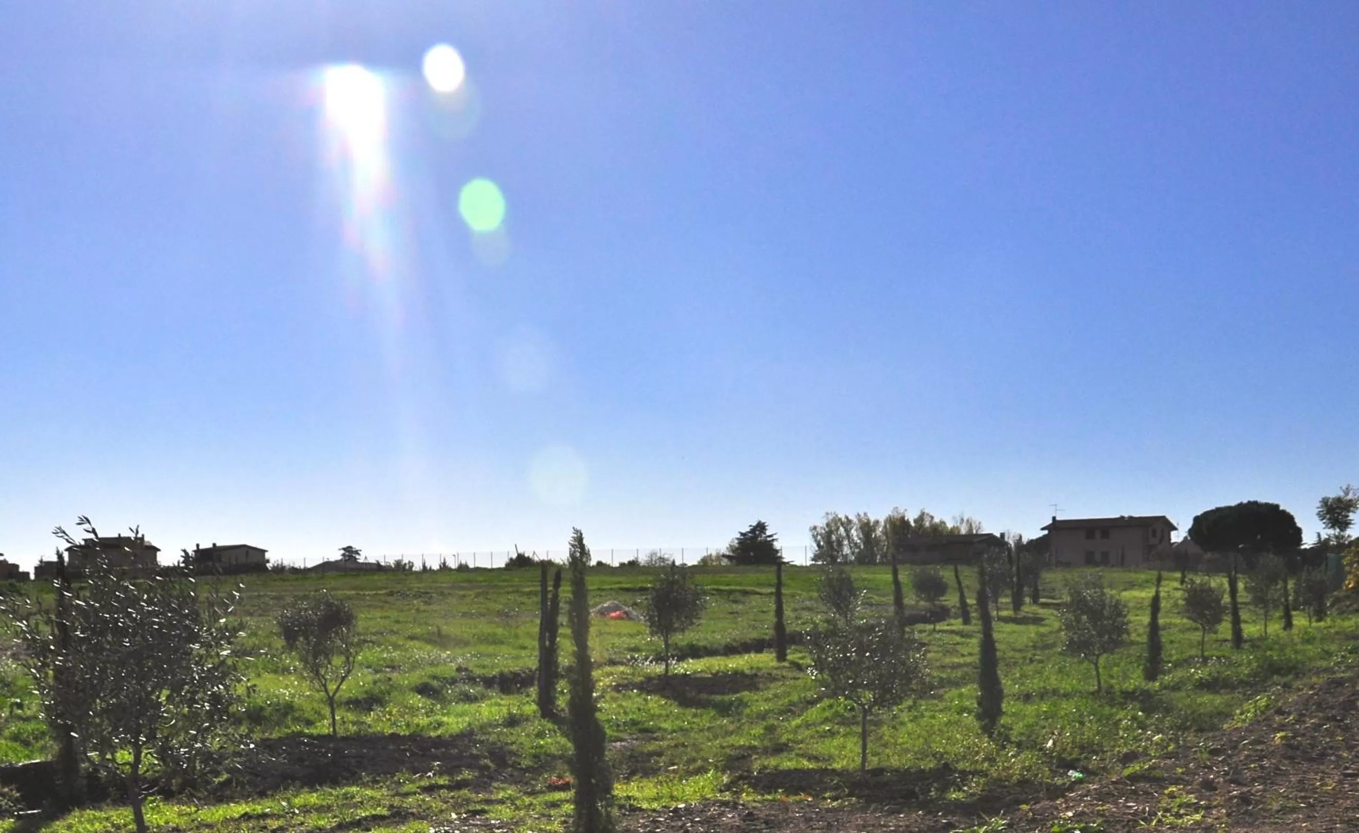 Other in Hotel 325 Tor Vergata