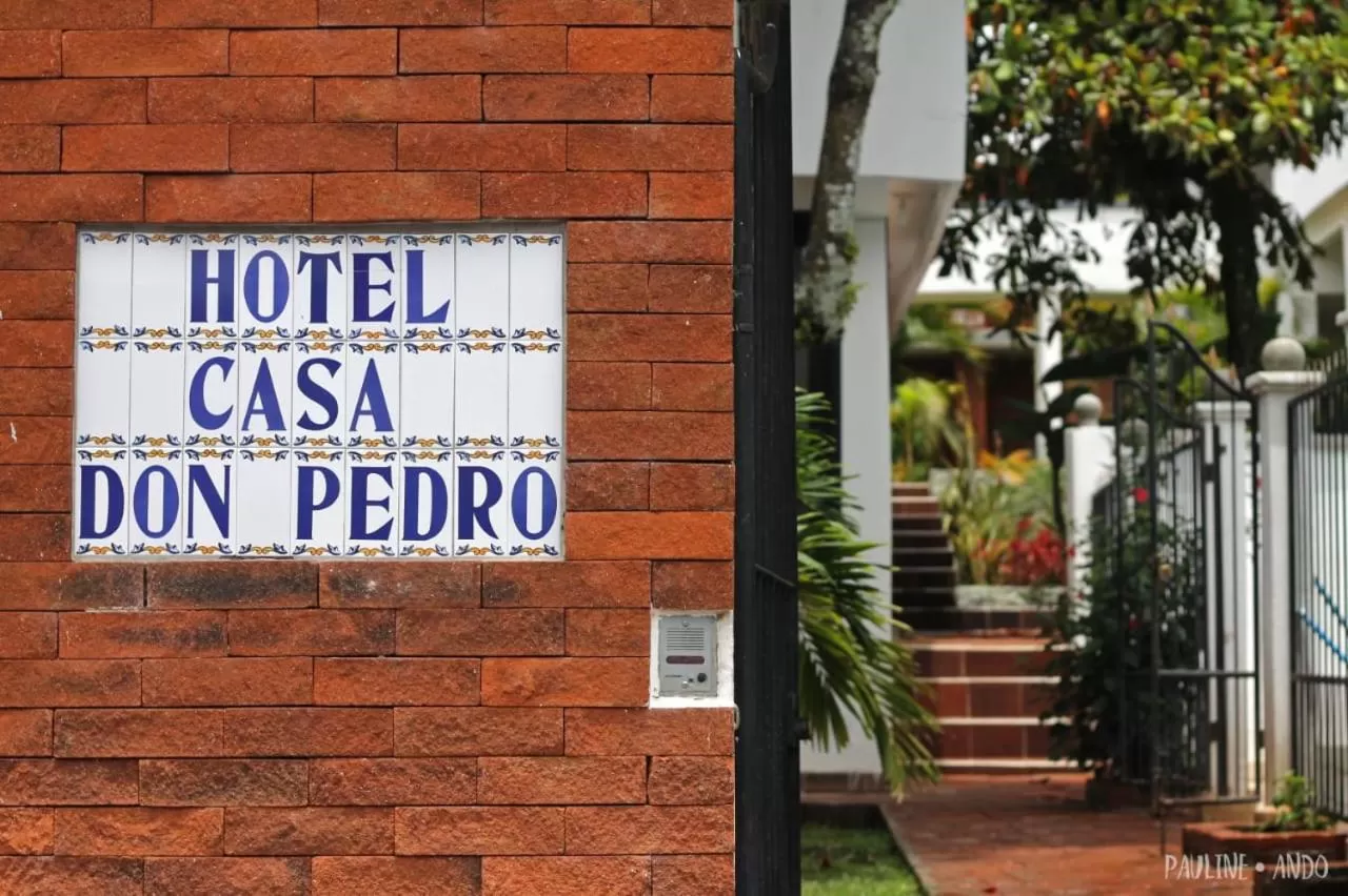 Hotel Casa don Pedro