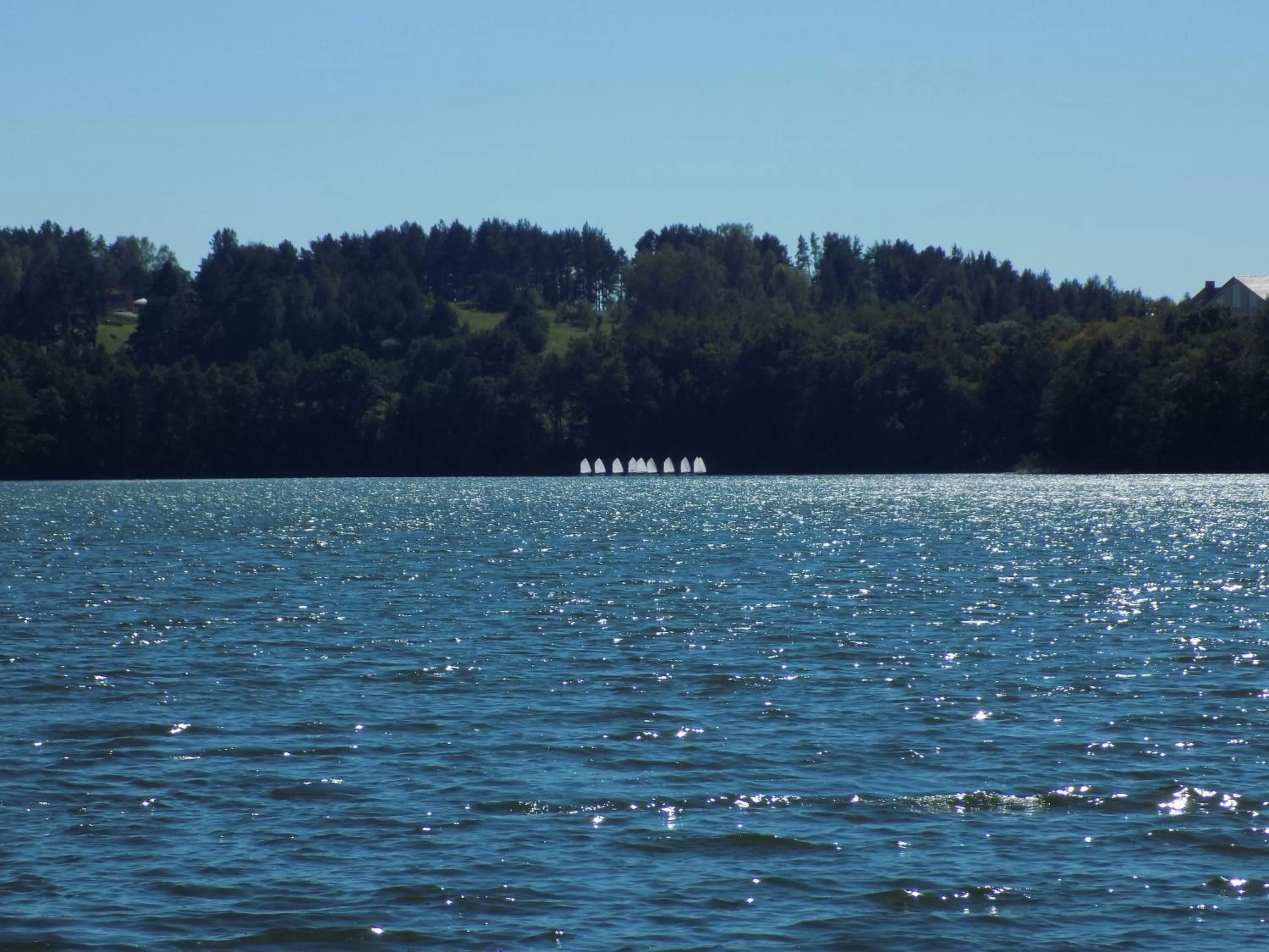 Lake view in Hotel Mazuria Country & SPA