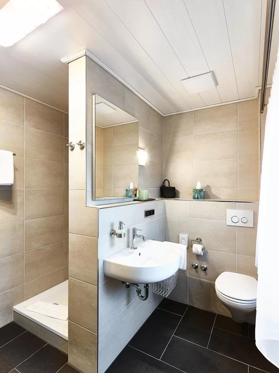 Toilet in Gasthof Adler