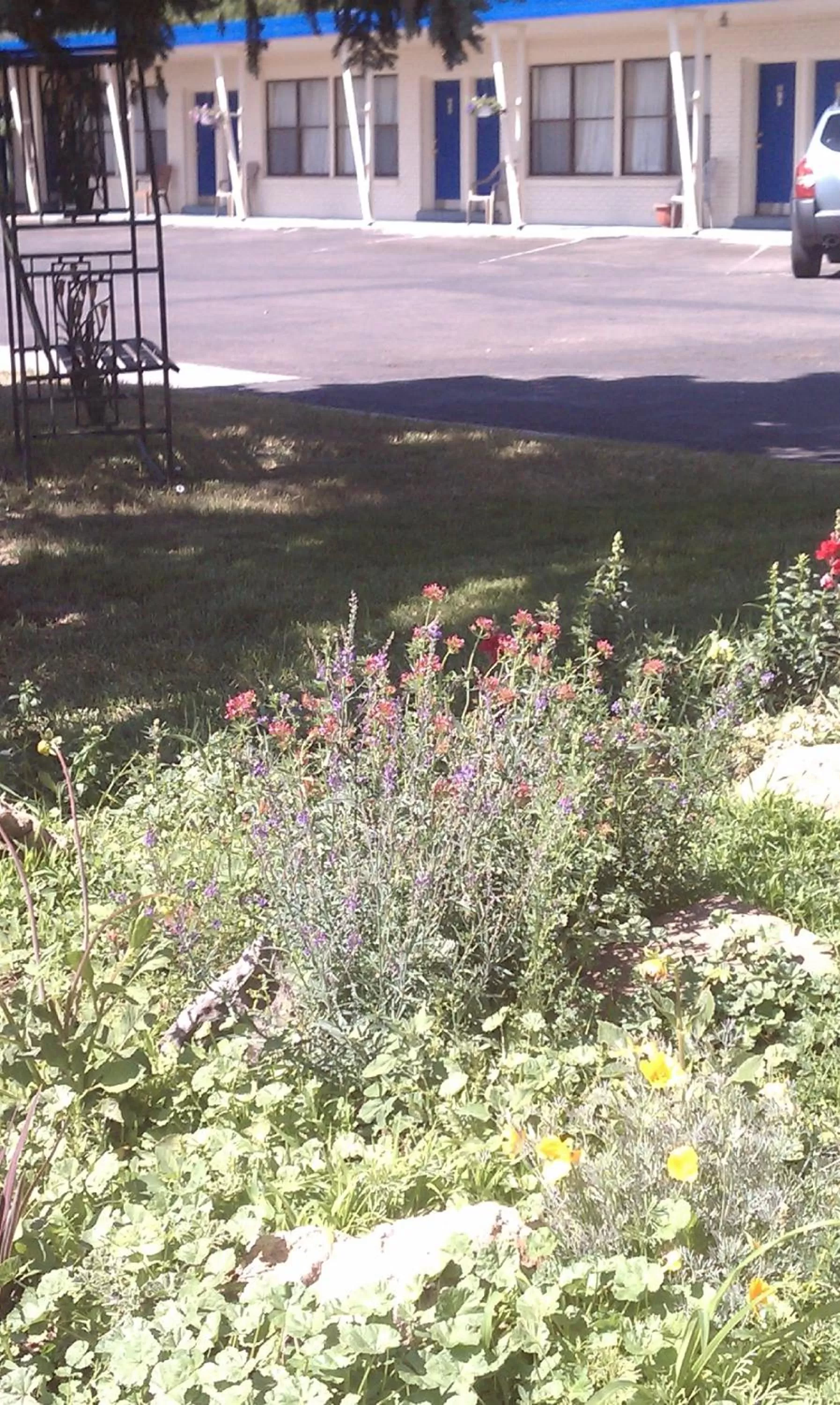 Day in The Monticello Inn