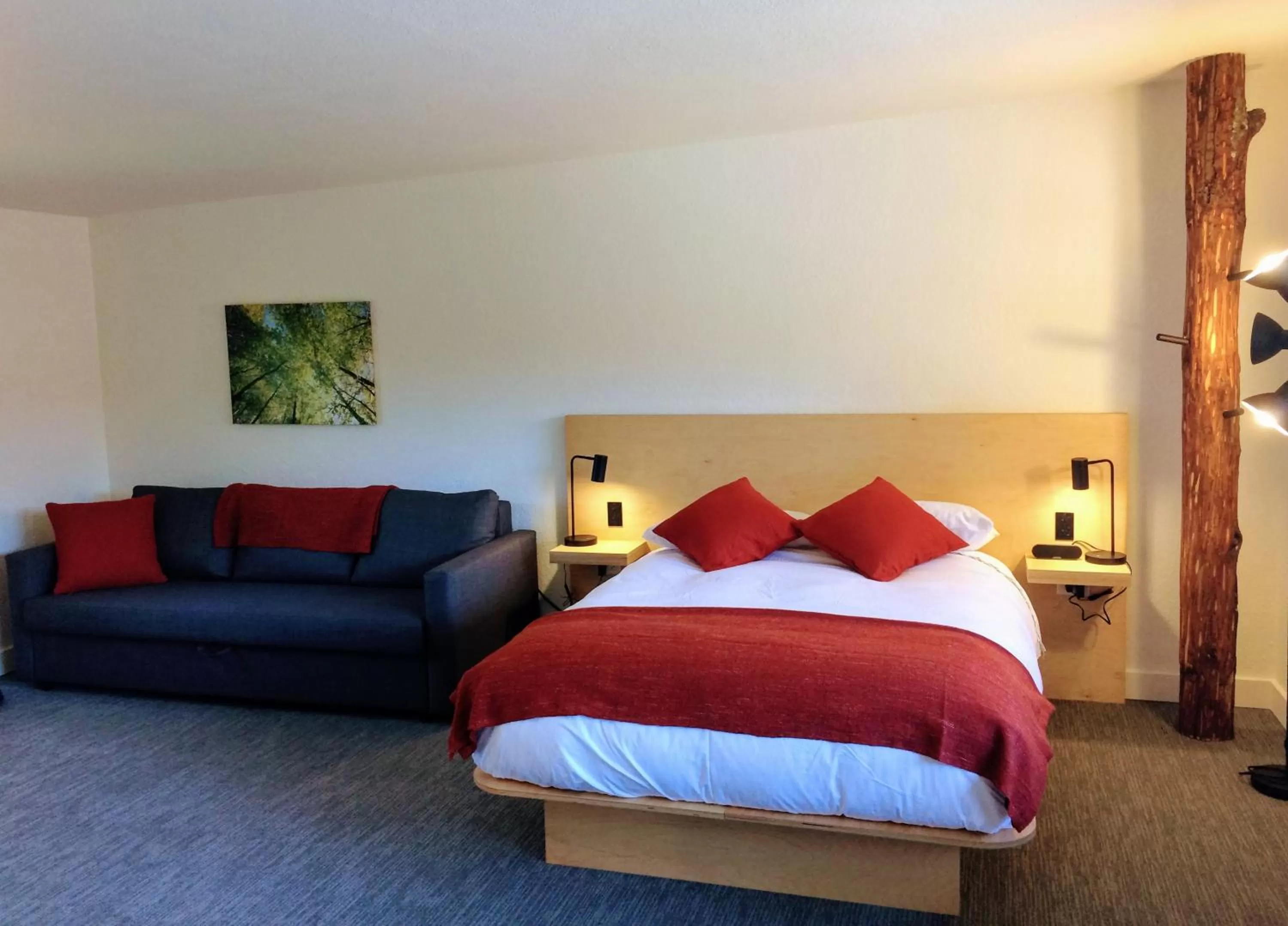 Maple Superior Queen Room  in Heliotrope Hotel