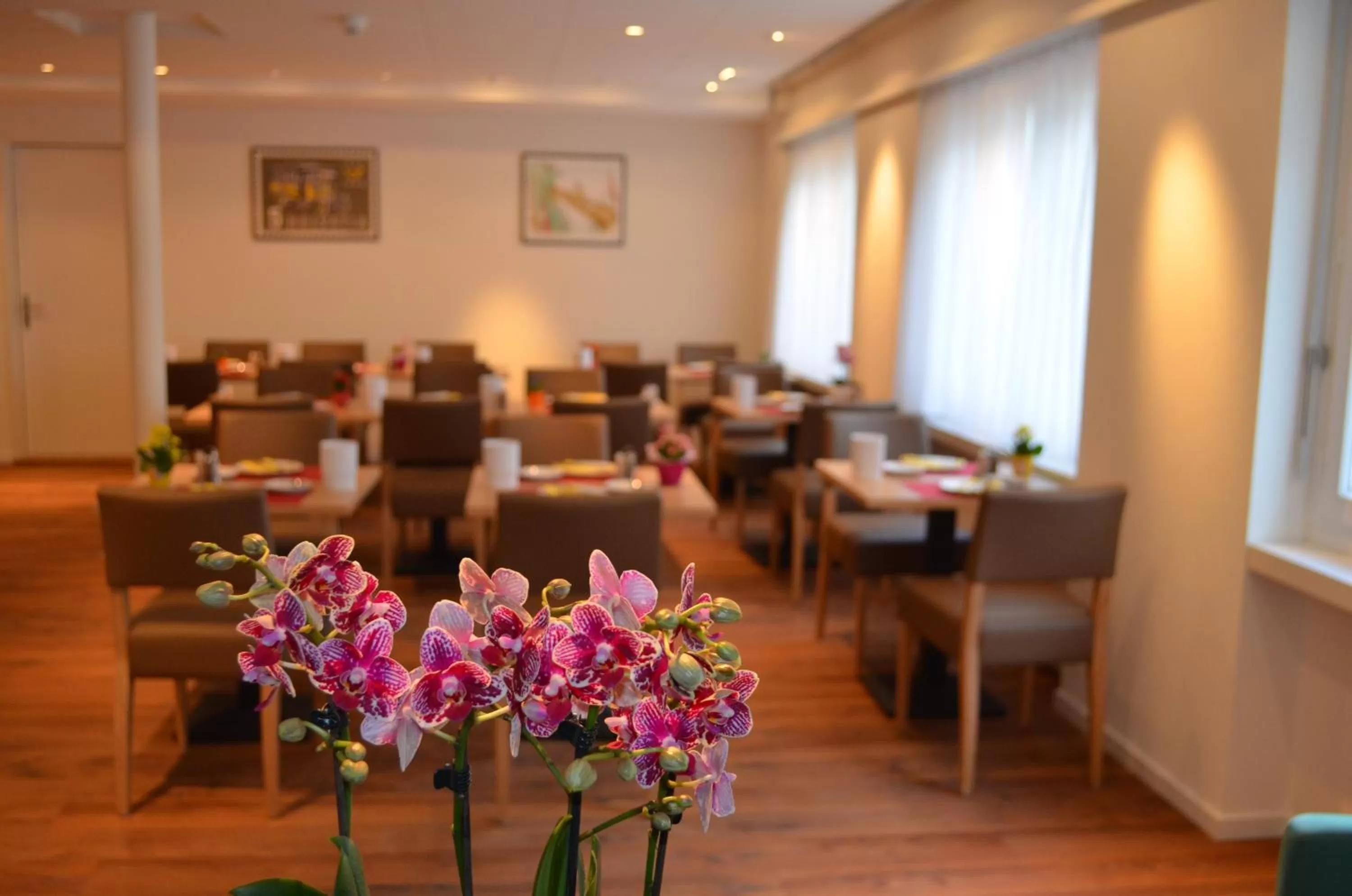 Restaurant/places to eat in Central Hotel Post