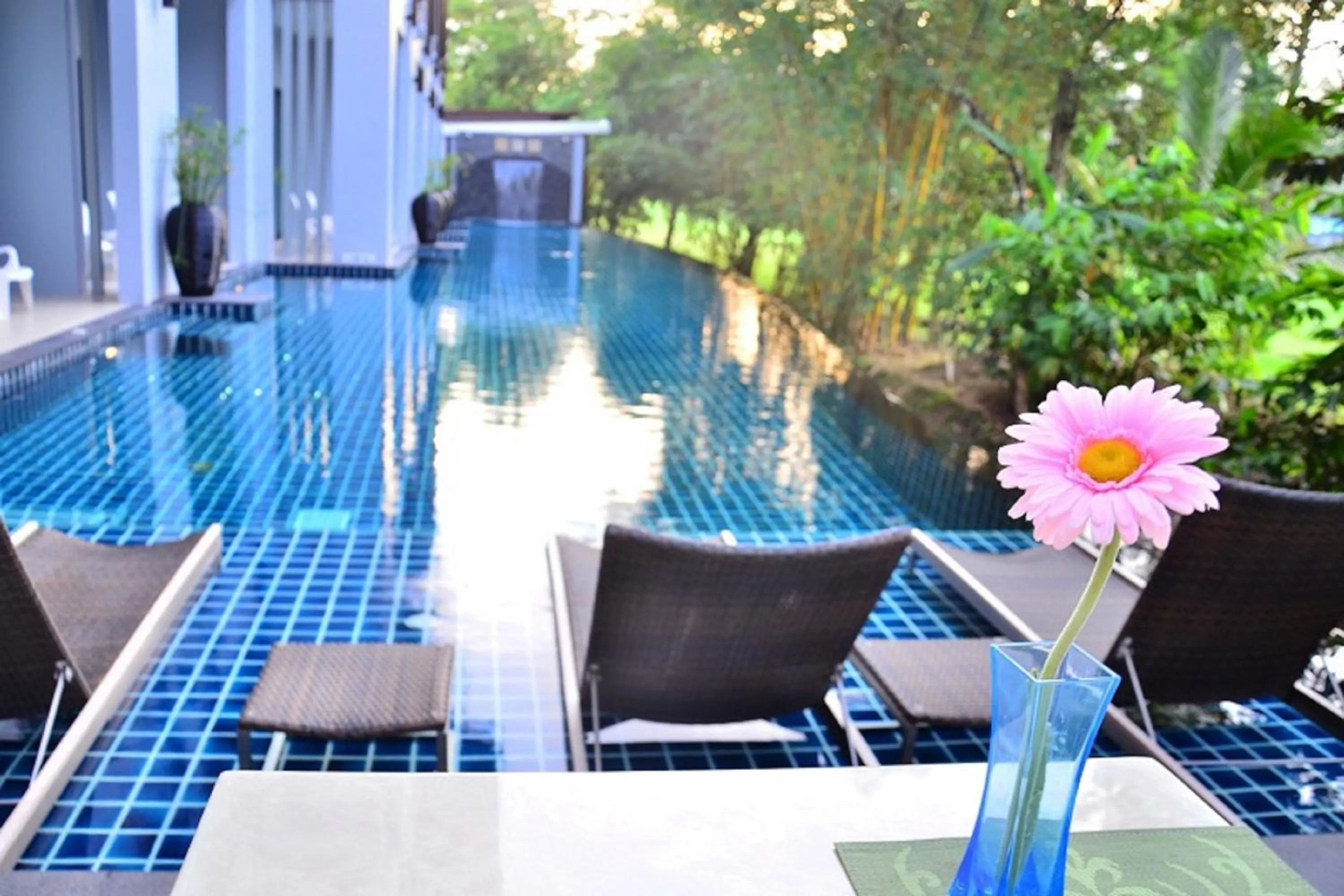 Swimming pool in The Par Phuket SHA Plus